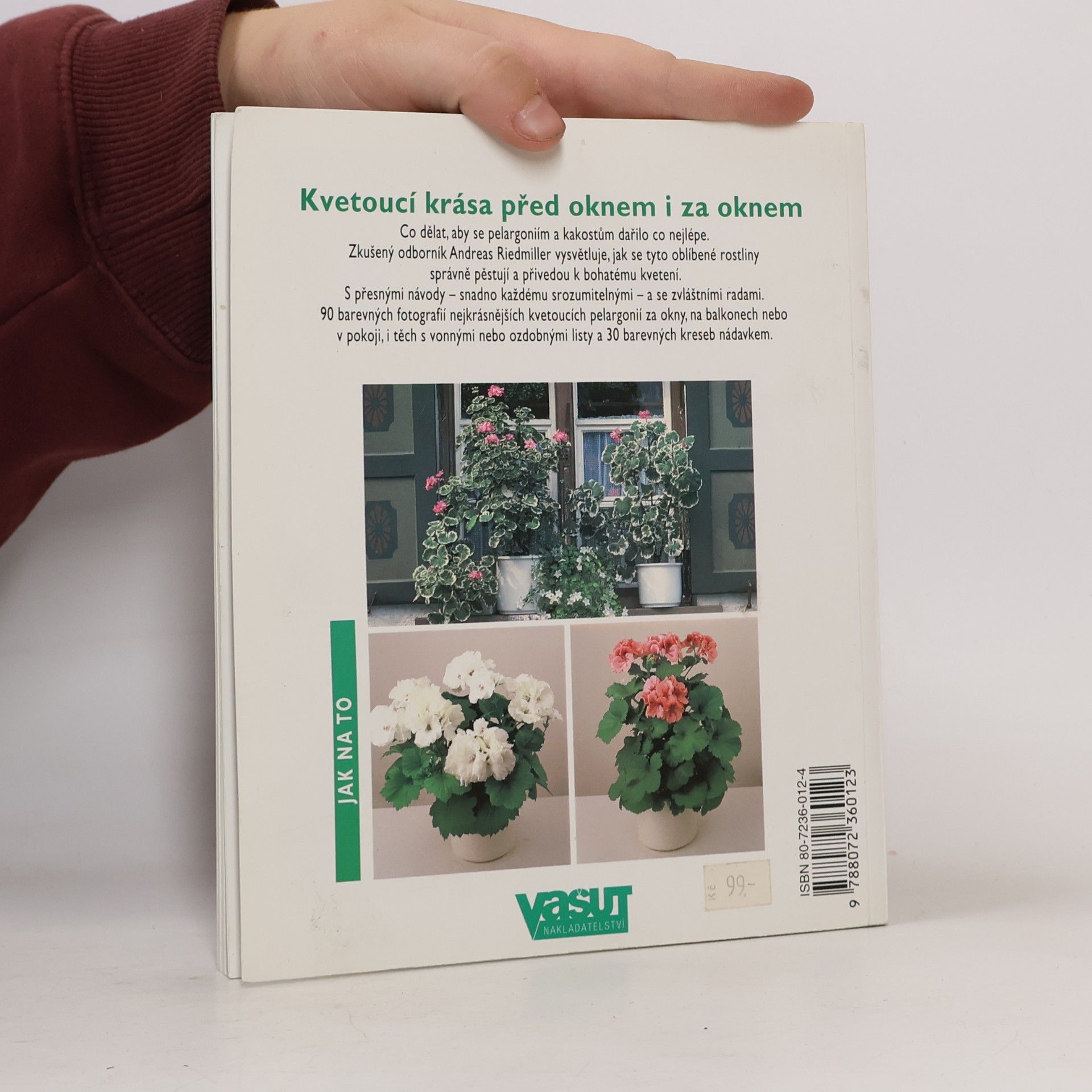 Andreas Riedmiller Pelargonie a kakosty: Aby vám bohatě kvetly: Rady odborníků pro nákup, pěstování a množení pelargonií