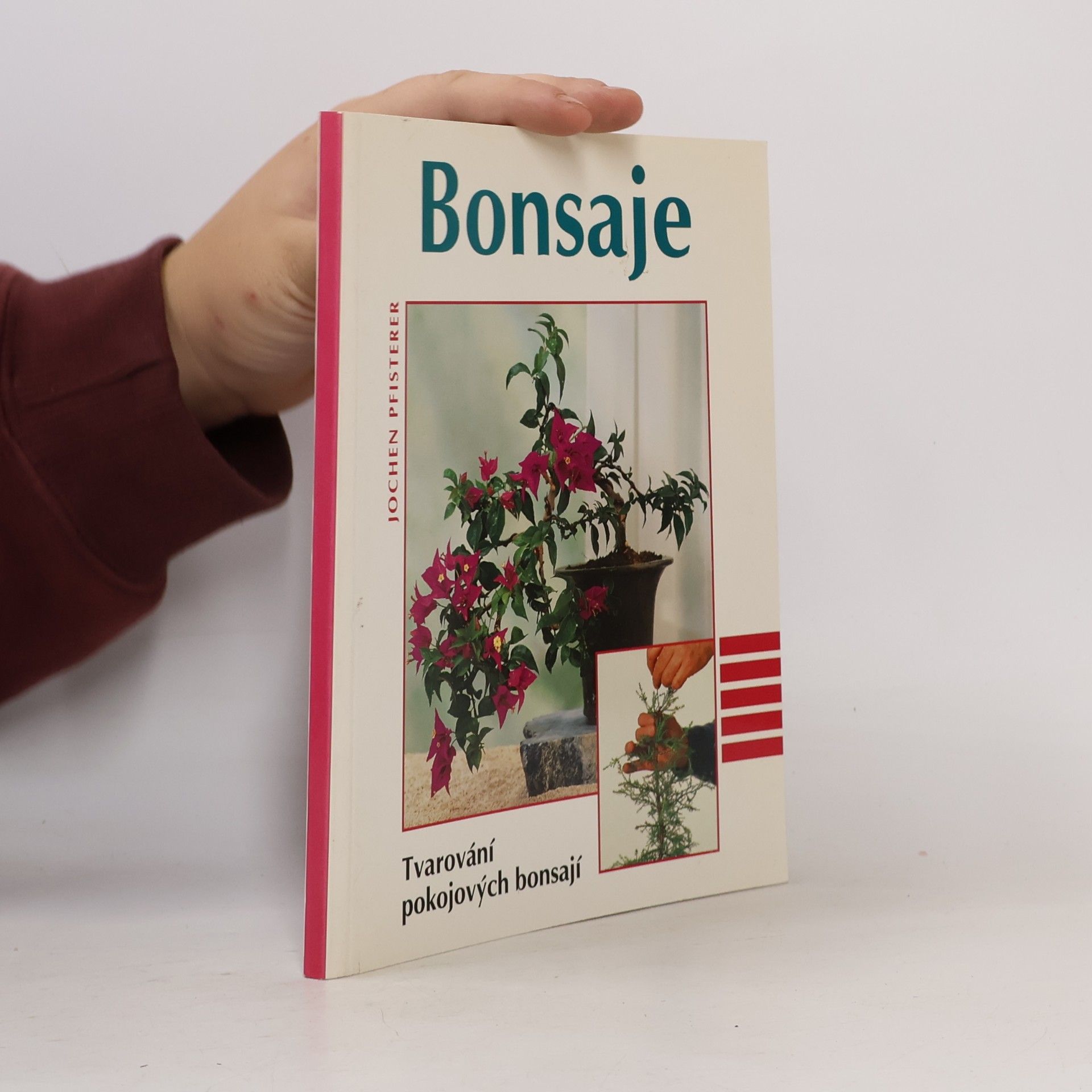 Jochen Pfisterer Bonsaje. Tvarování pokojových bonsají