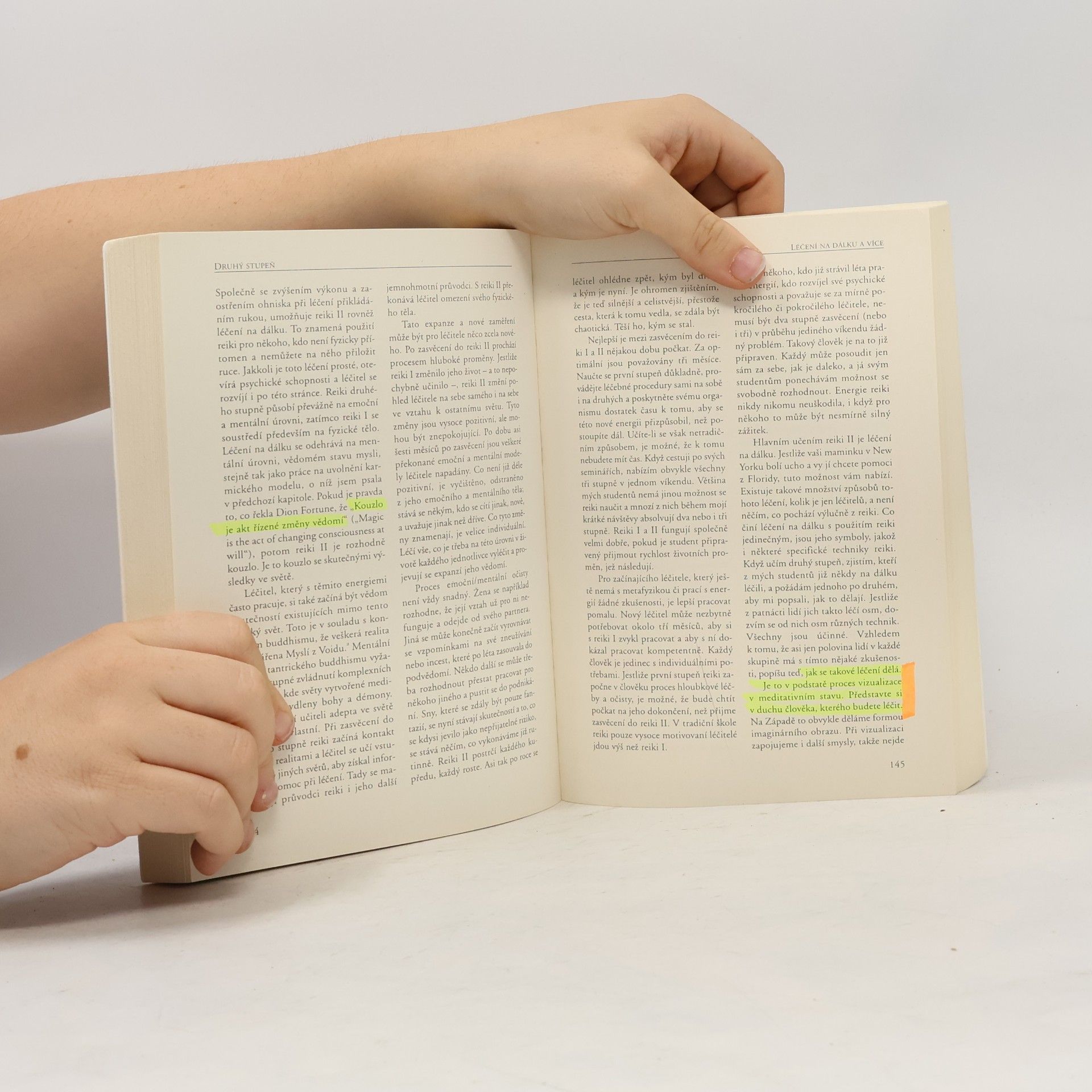 Diane Stein Průvodce reiki. Kompletní průvodce ke starobylému léčebnému umění