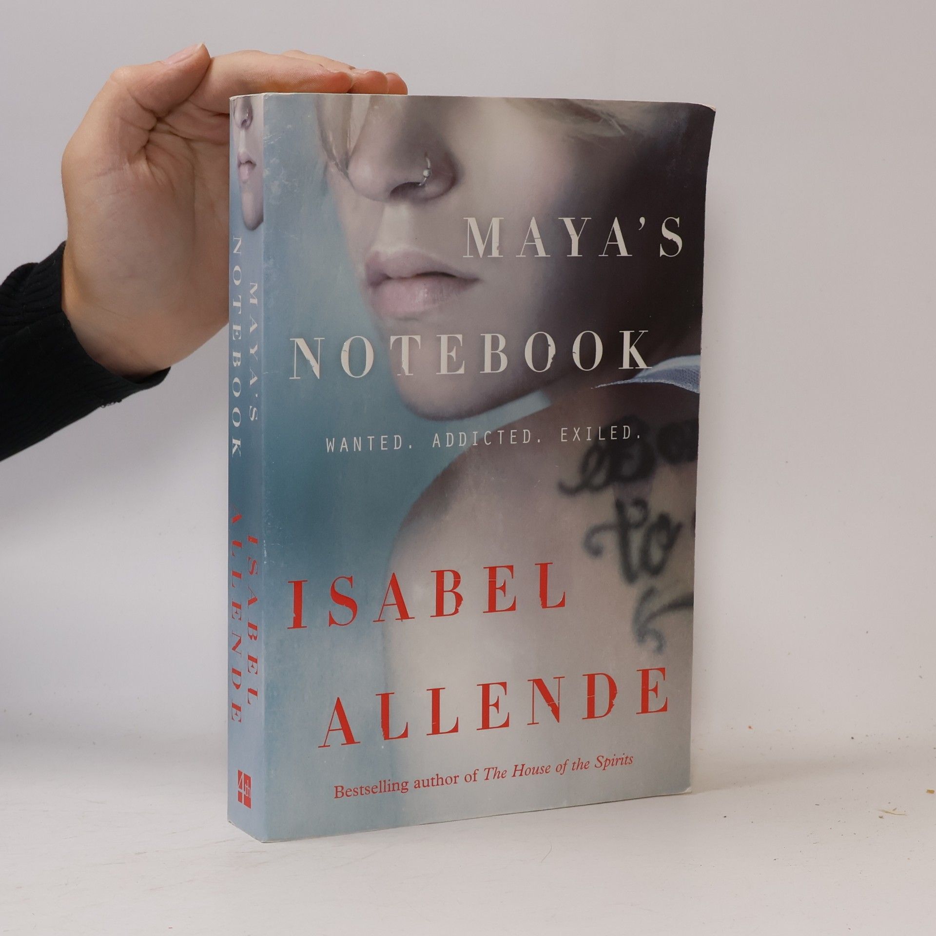 Isabel Allende Maya's Notebook