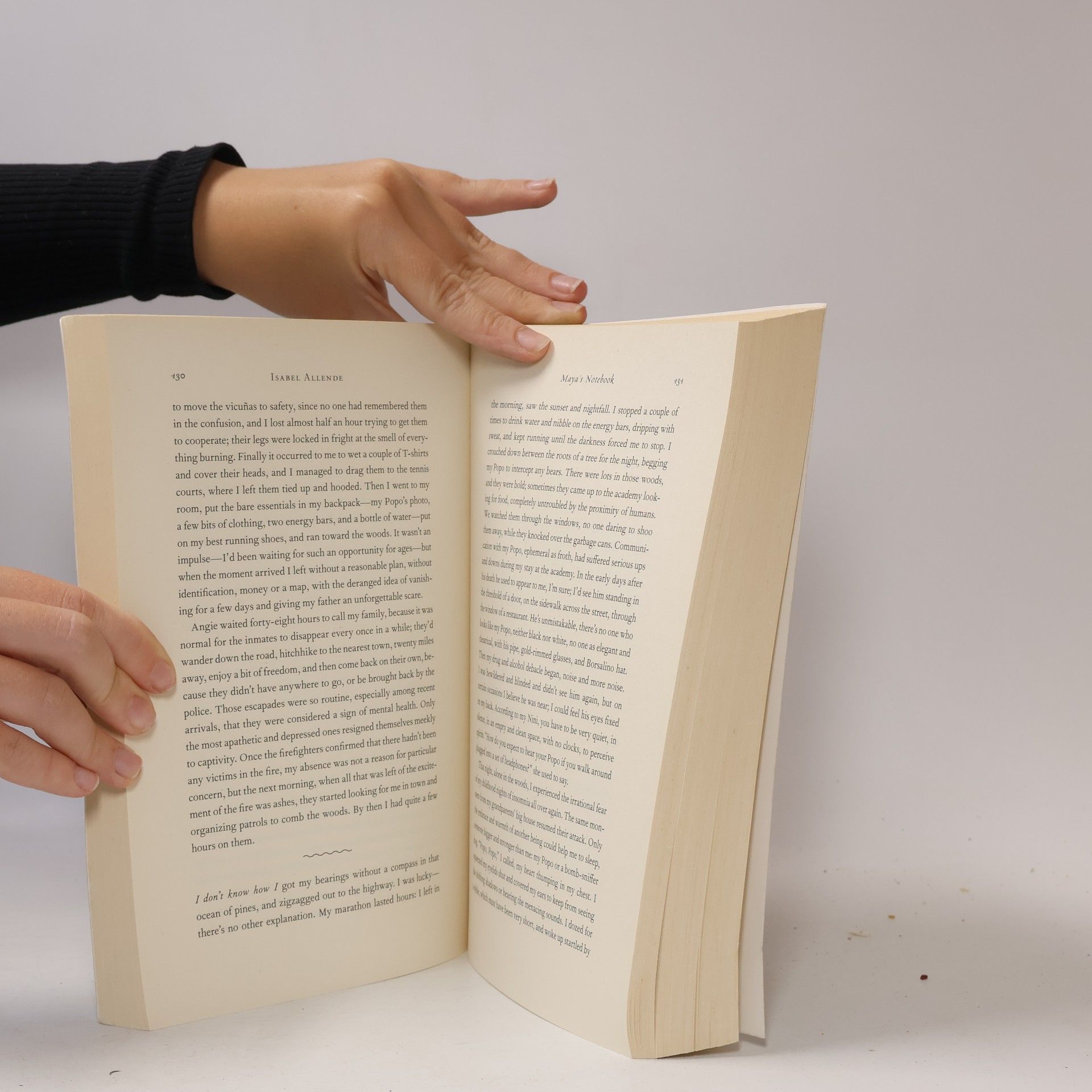 Isabel Allende Maya's Notebook