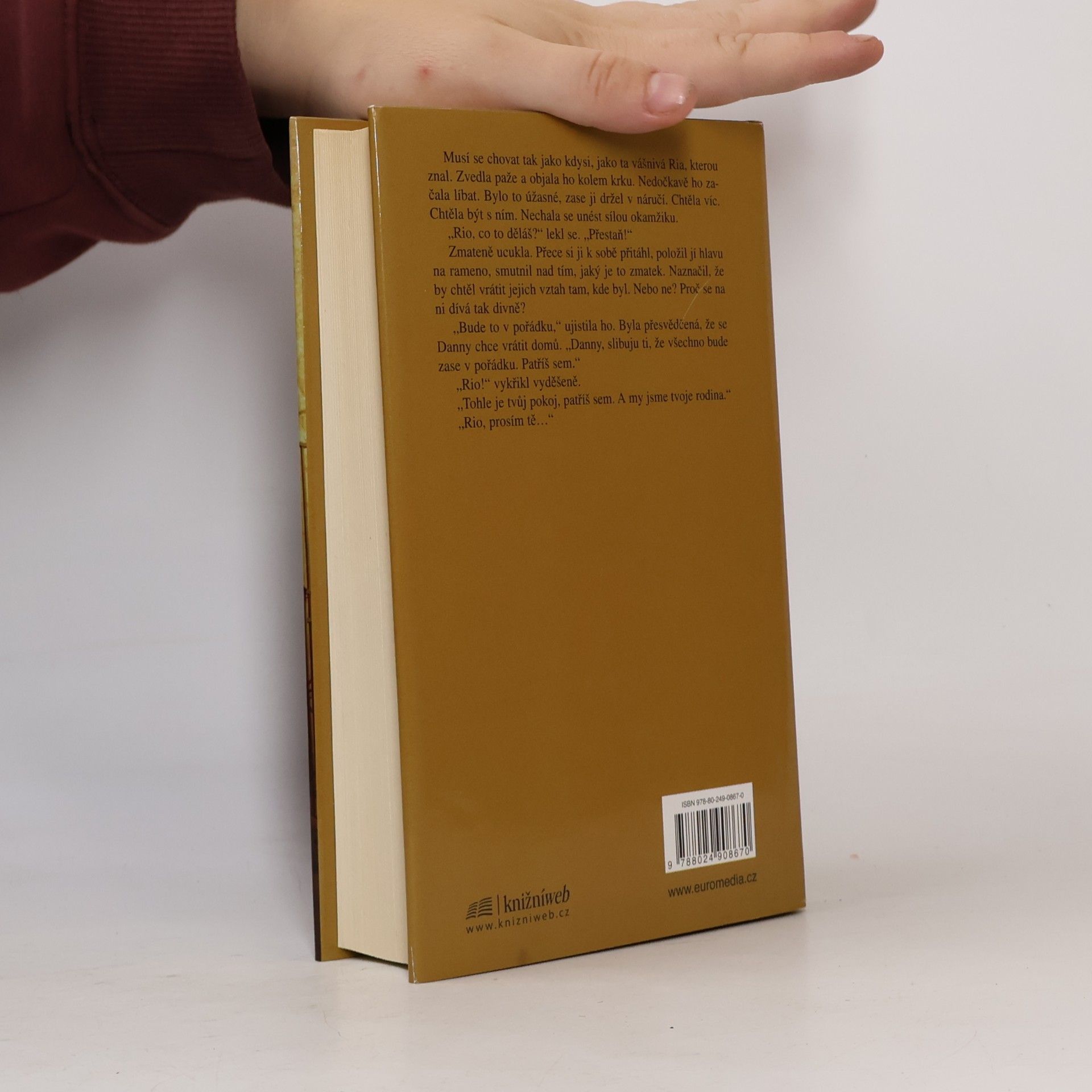 Maeve Binchy Dům na Tara Road