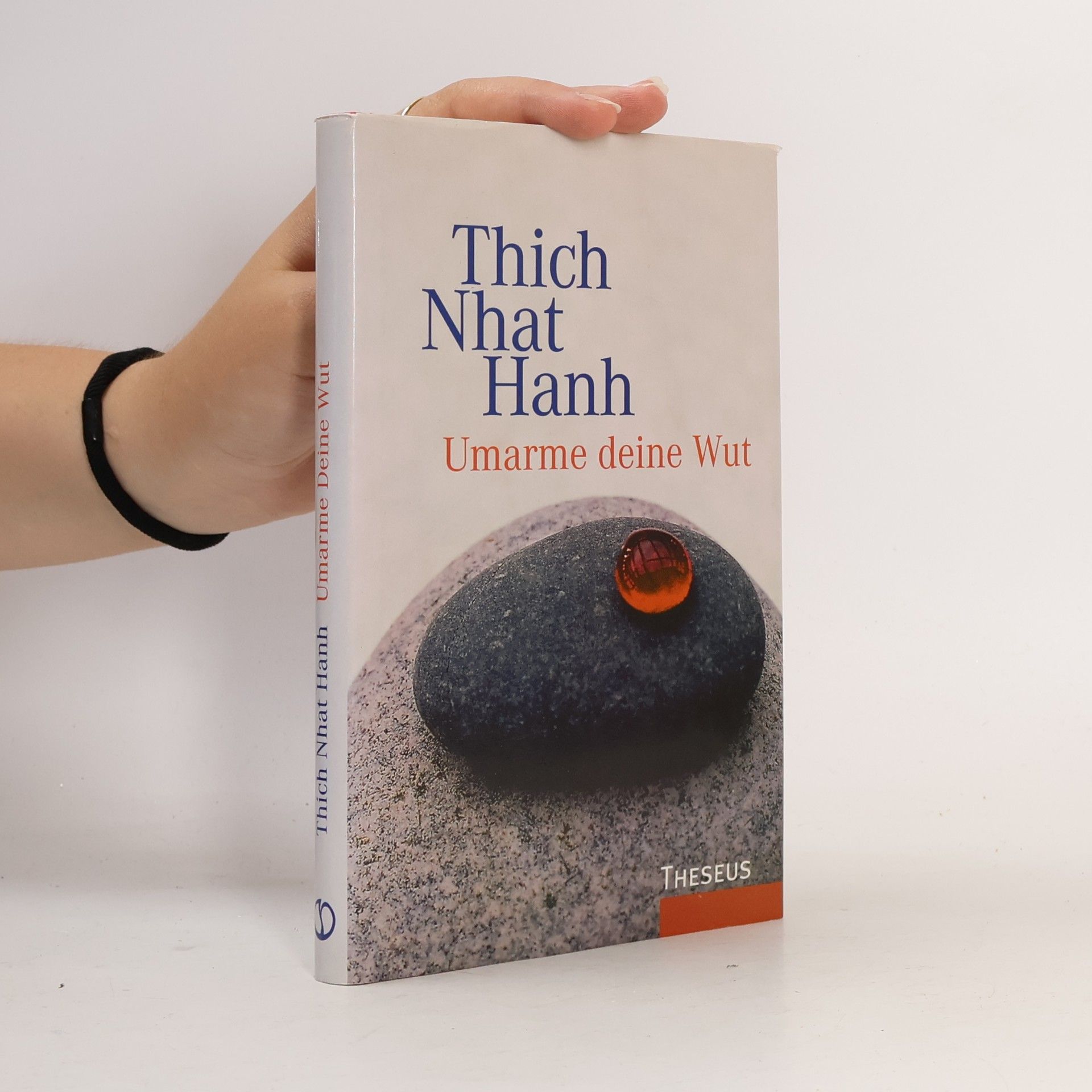 Thich Nhat Hanh Umarme deine Wut