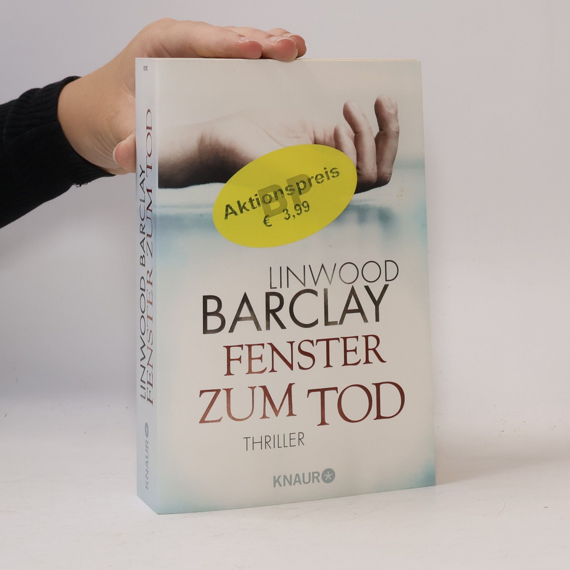 Linwood Barclay Fenster zum Tod