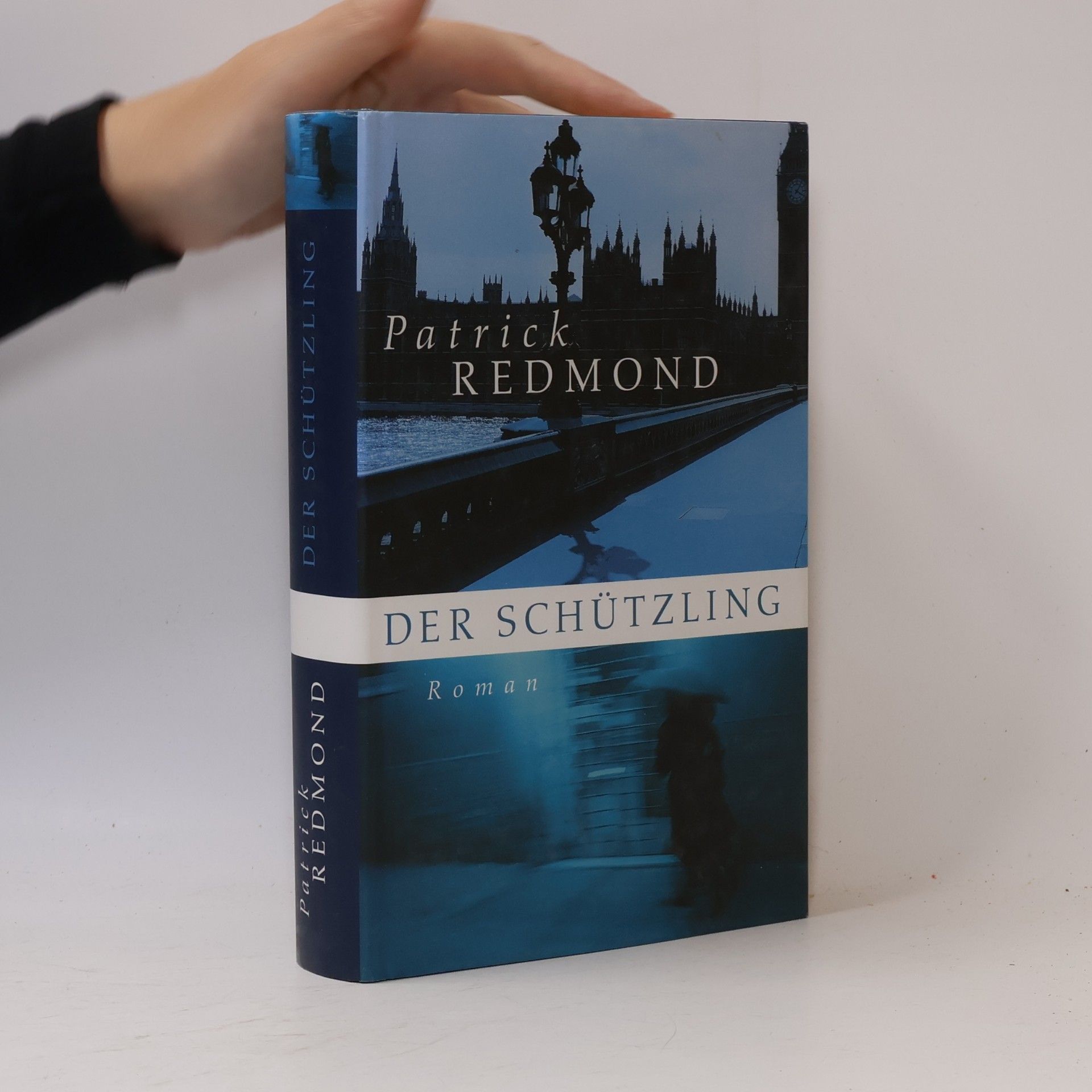 Patrick Redmond Der Schützling