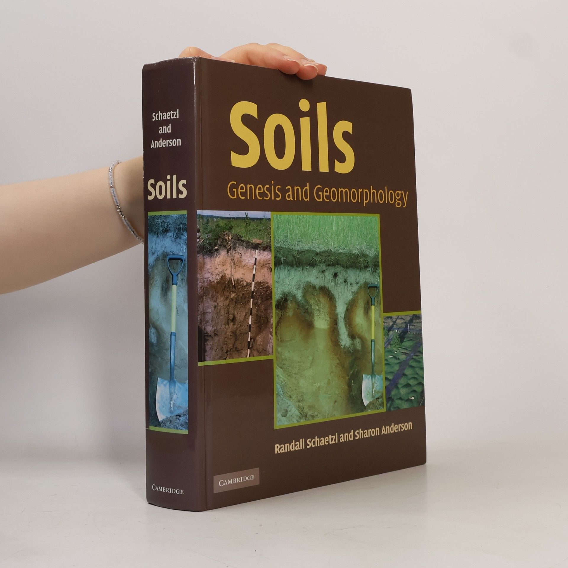 Sharon Anderson Soils