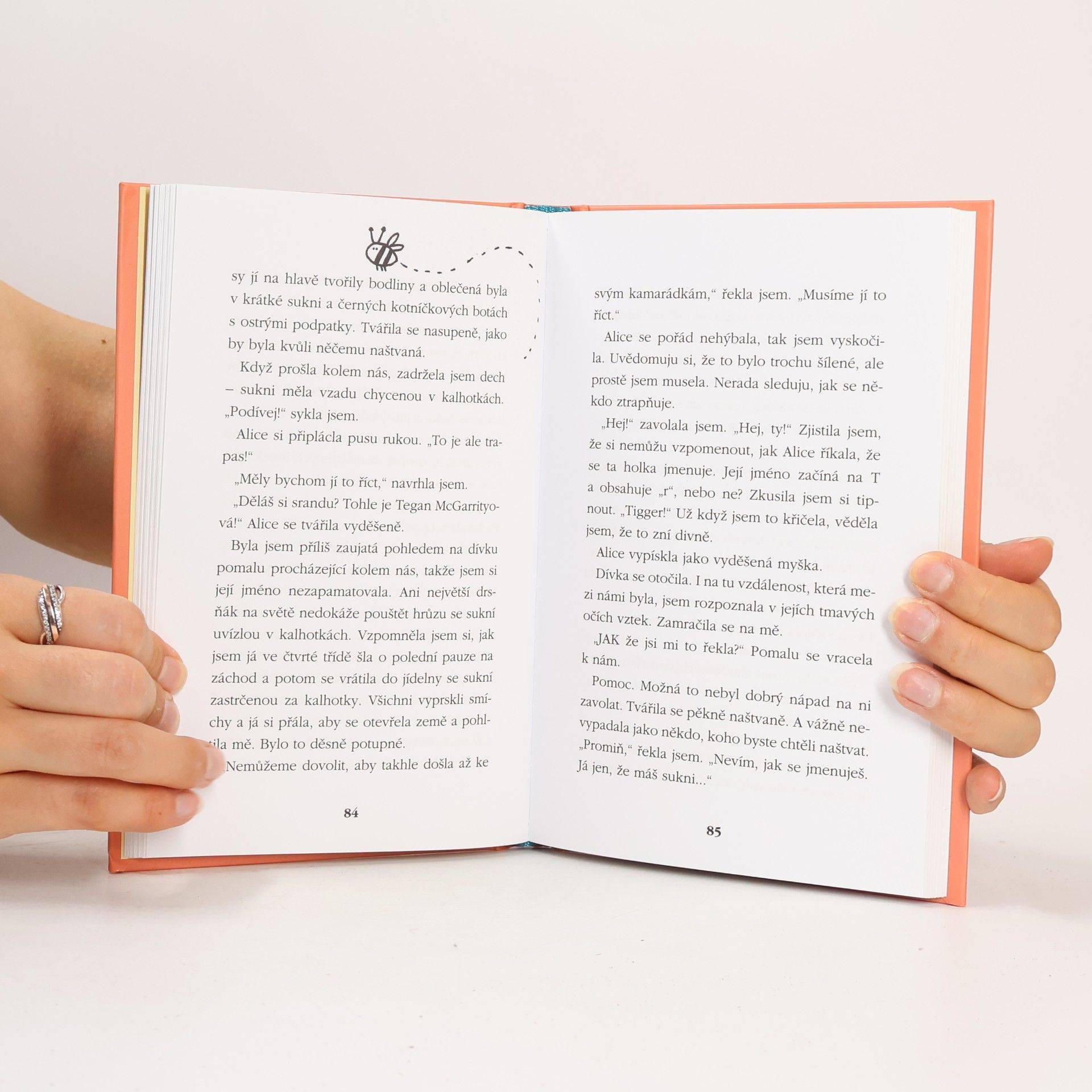Linda Champan Přátelství plné koláčů : cukr & koření