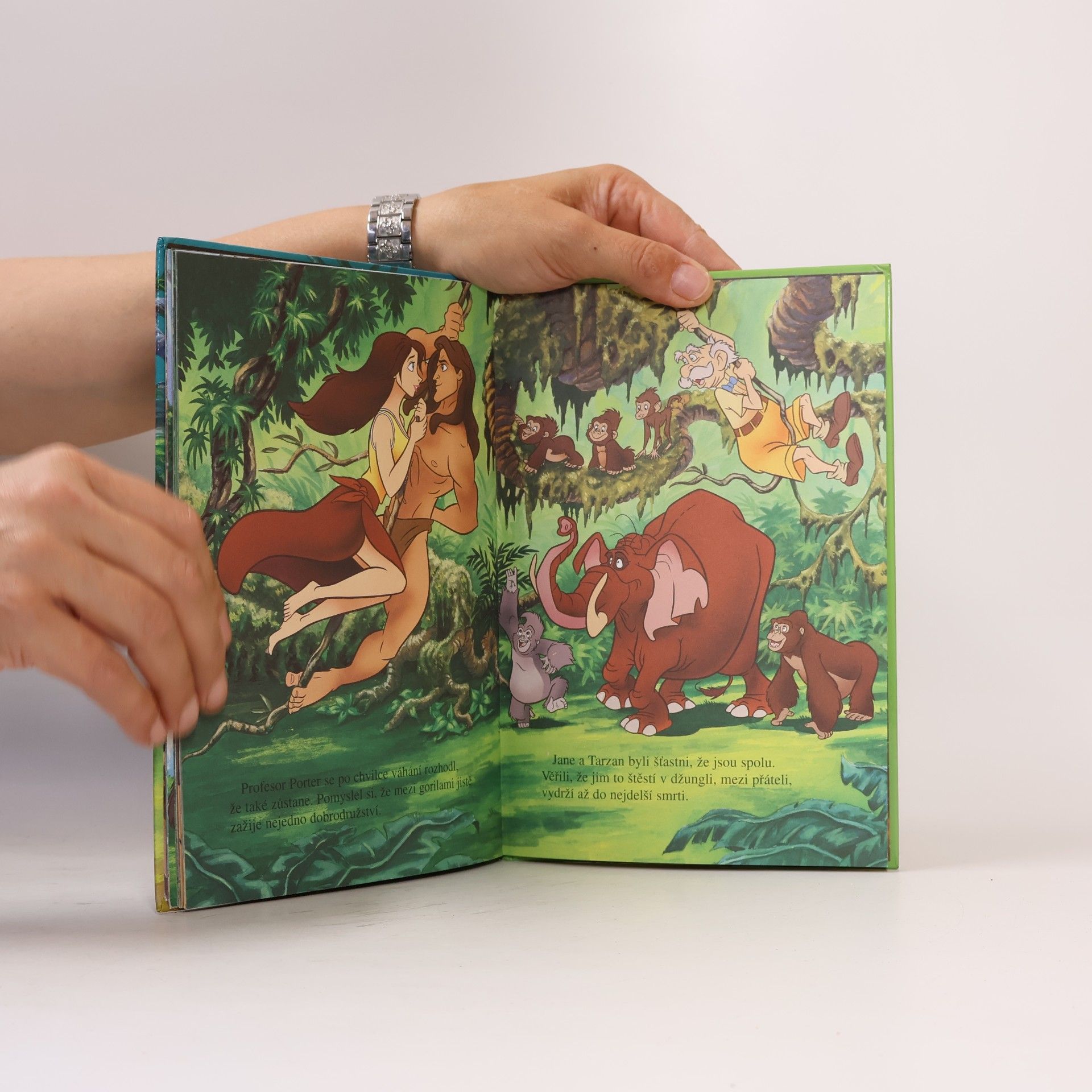 Kolektiv autorů Tarzan