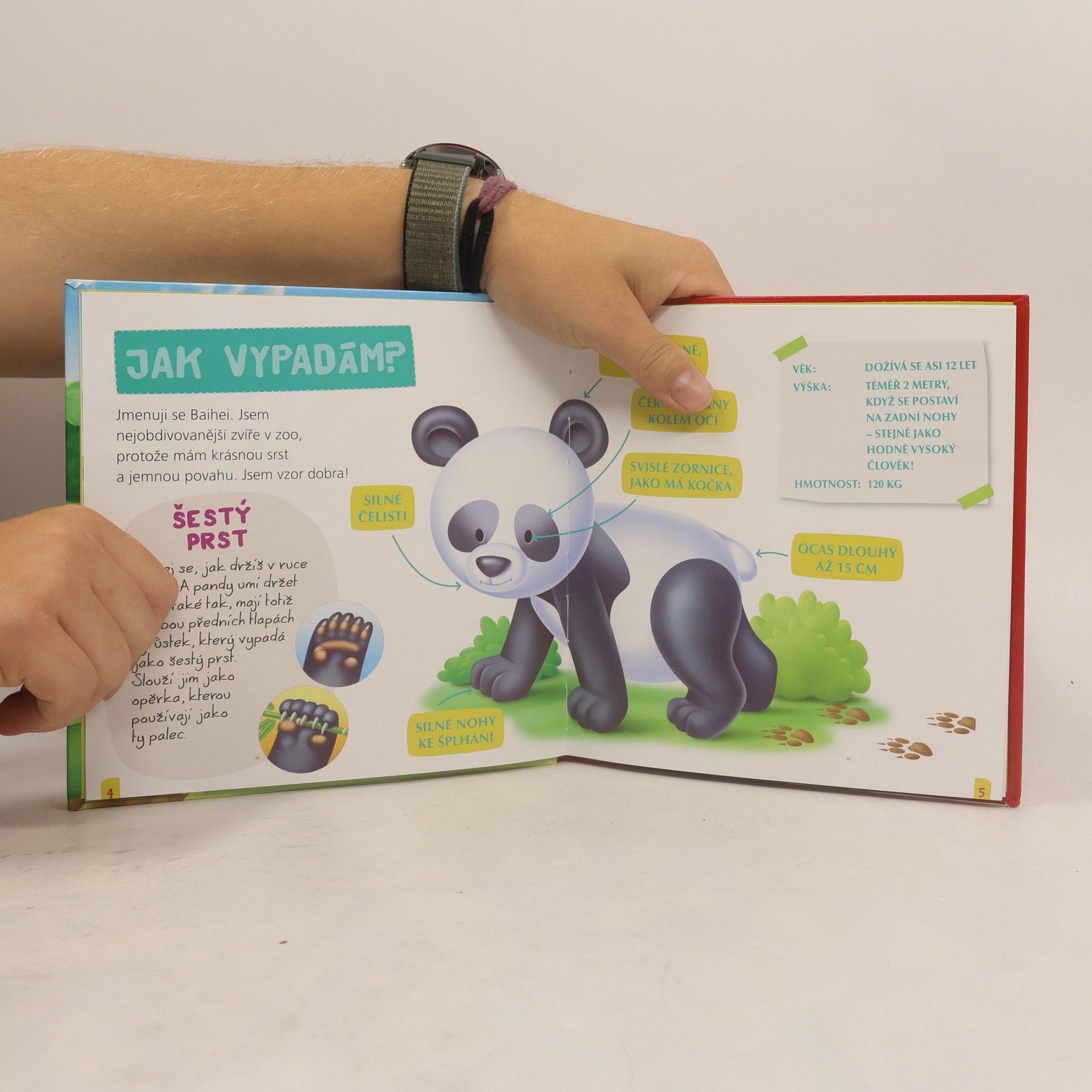 Kolektiv autorů Panda Baihei
