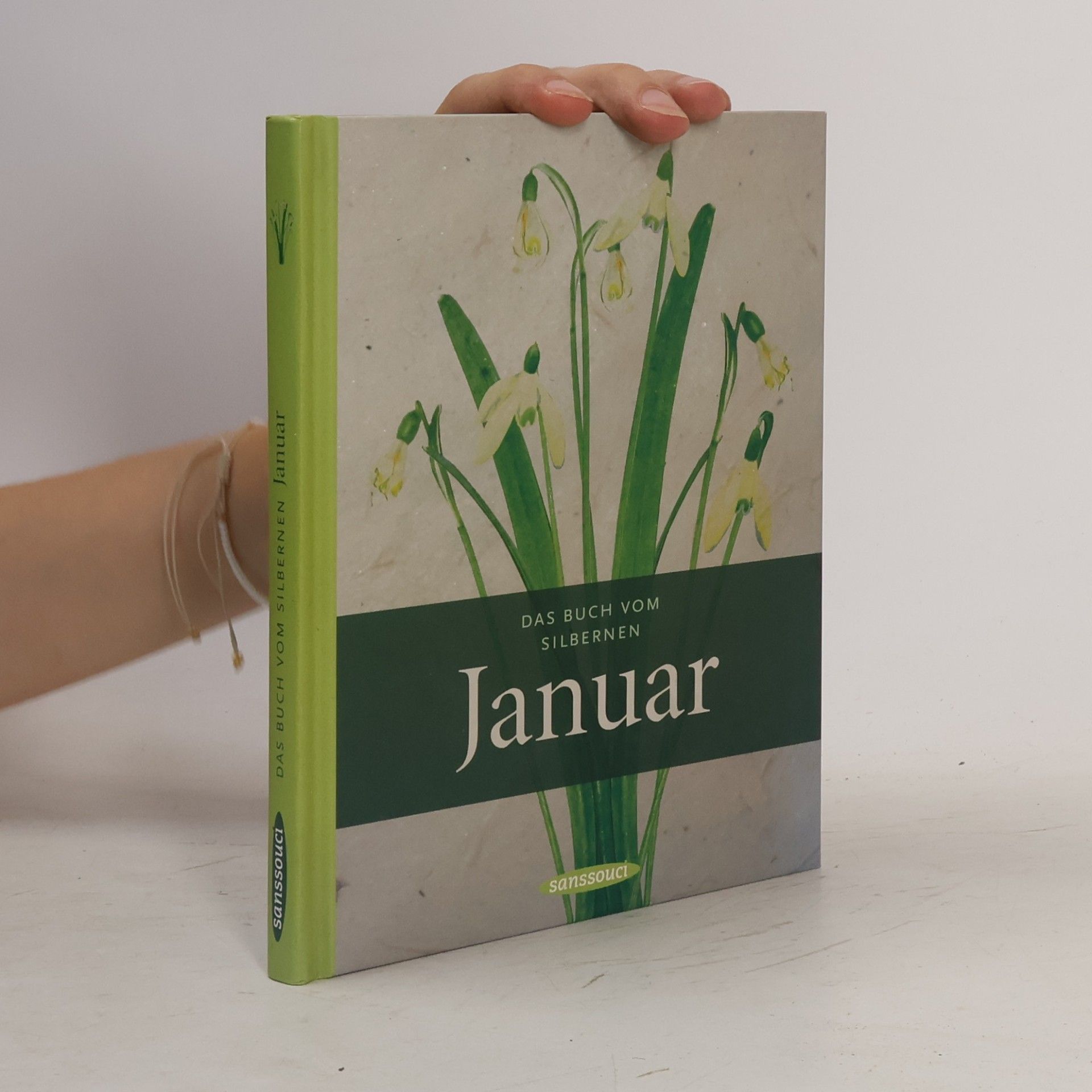 Peter Stamm Das Buch vom silbernen Januar