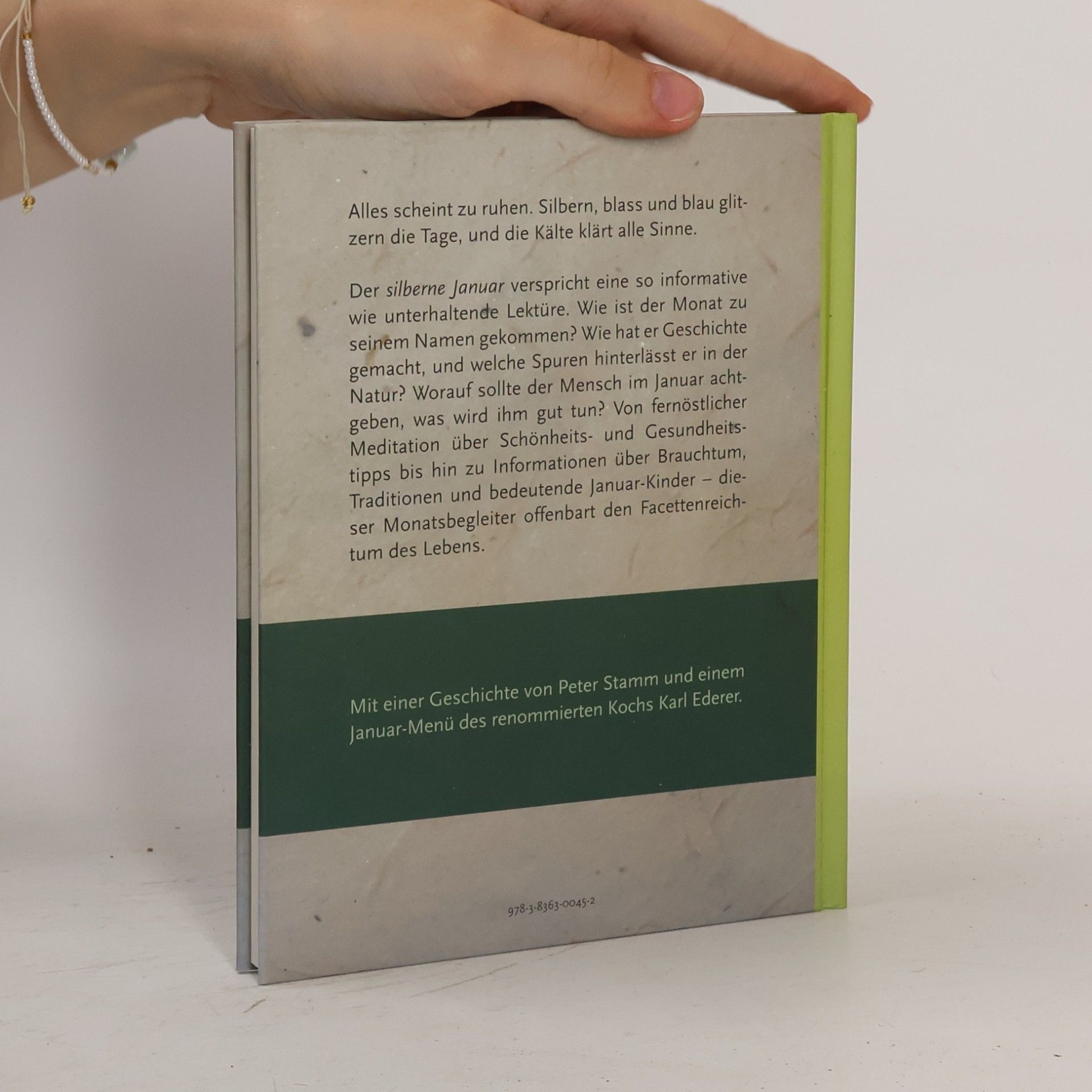 Peter Stamm Das Buch vom silbernen Januar