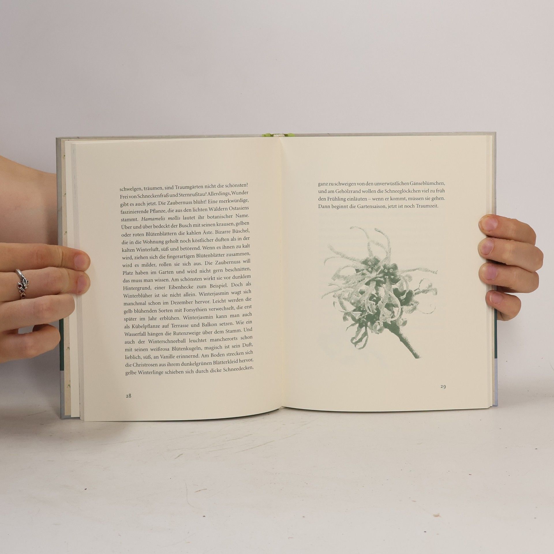Peter Stamm Das Buch vom silbernen Januar