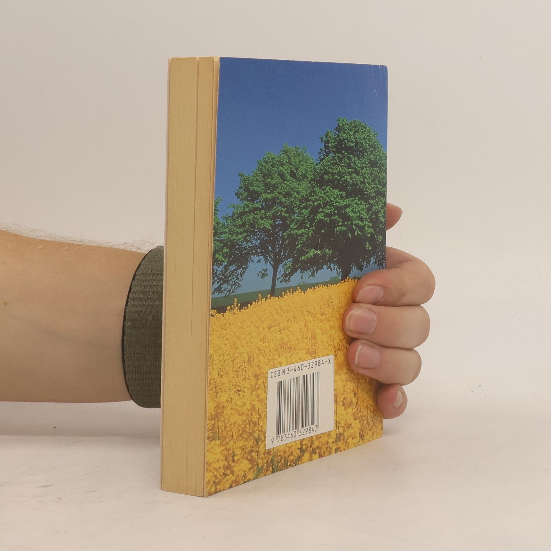 Collectif d'auteurs Das Neue Testament