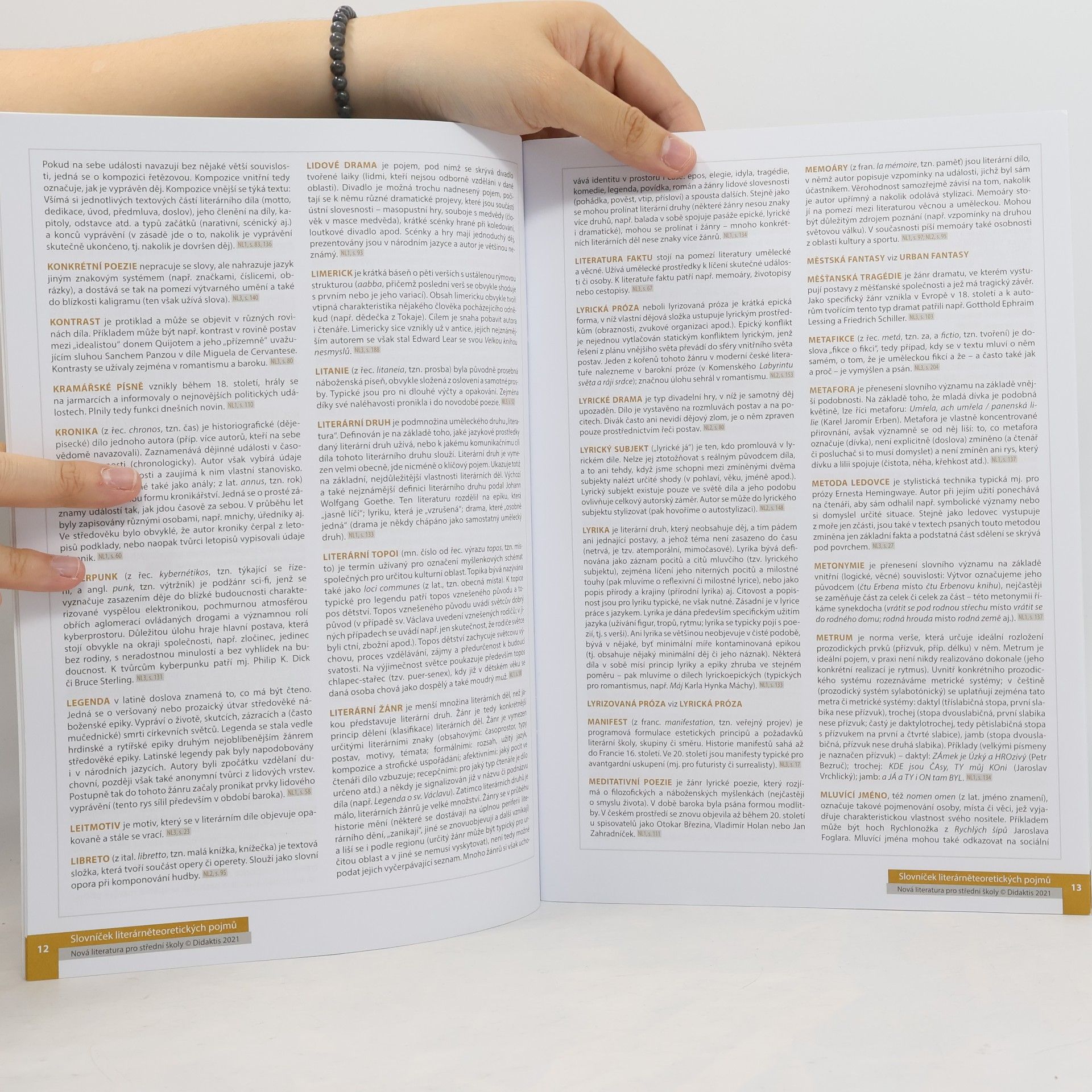 Lukáš Borovička Nová literatura pro střední školy. Přehled literárních pojmů a směrů