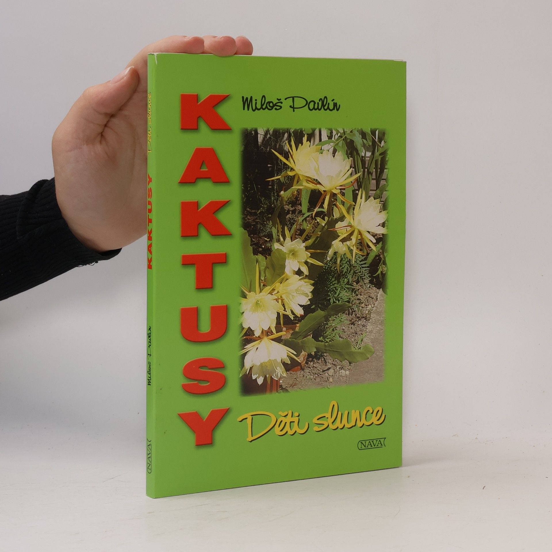 Kaktusy - děti slunce