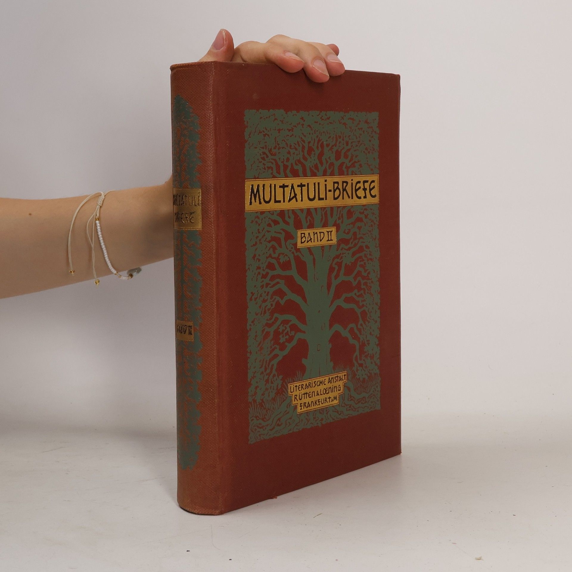 Multatuli-Briefe, Band II.