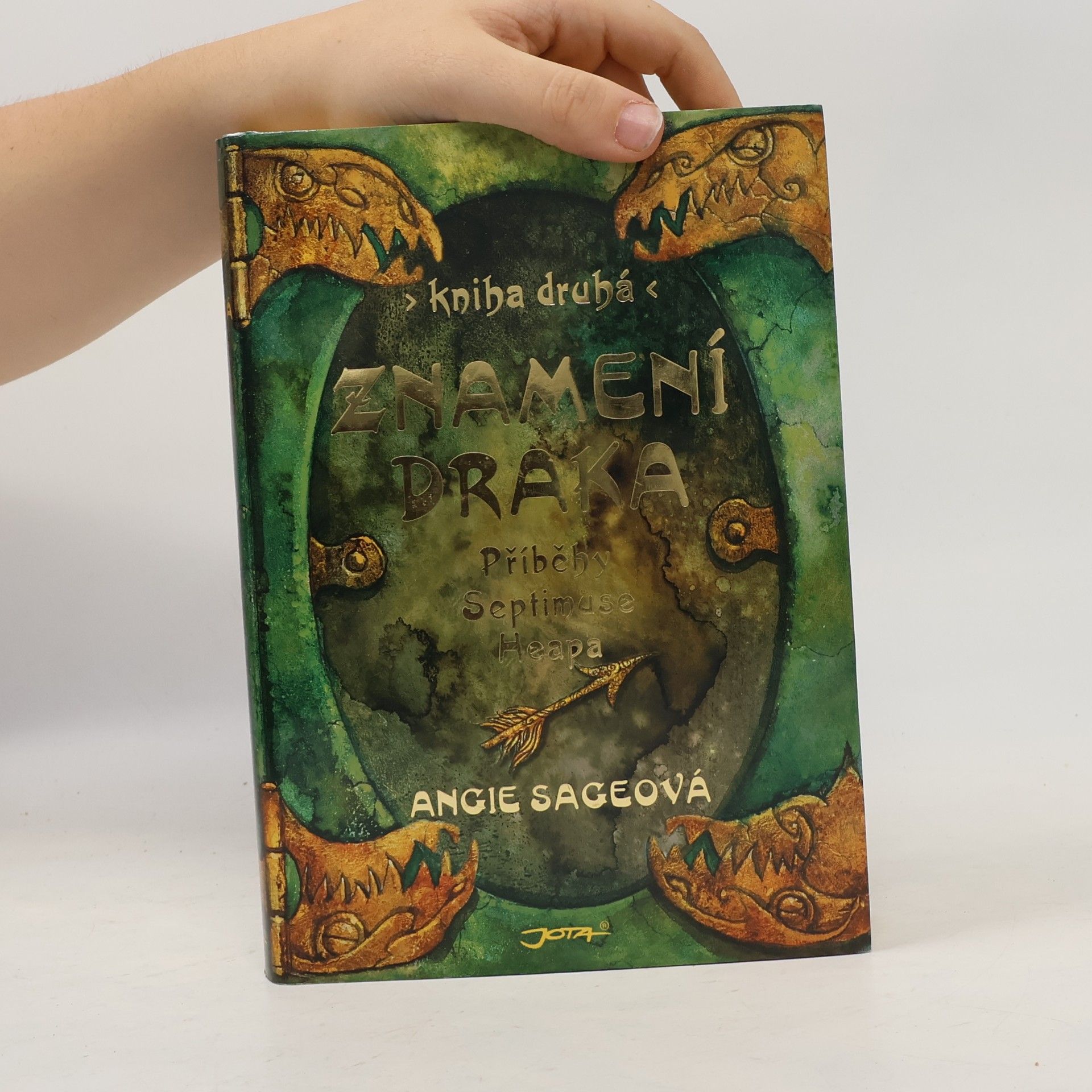Angie Sage Znamení draka