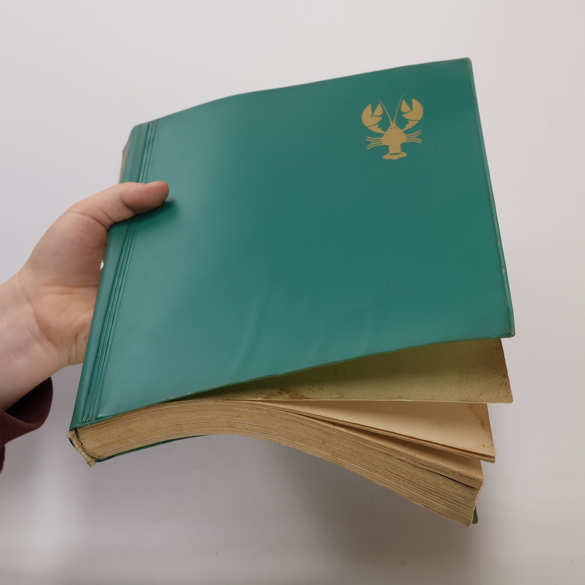 Vilém Vrabec Moderní studená kuchyně