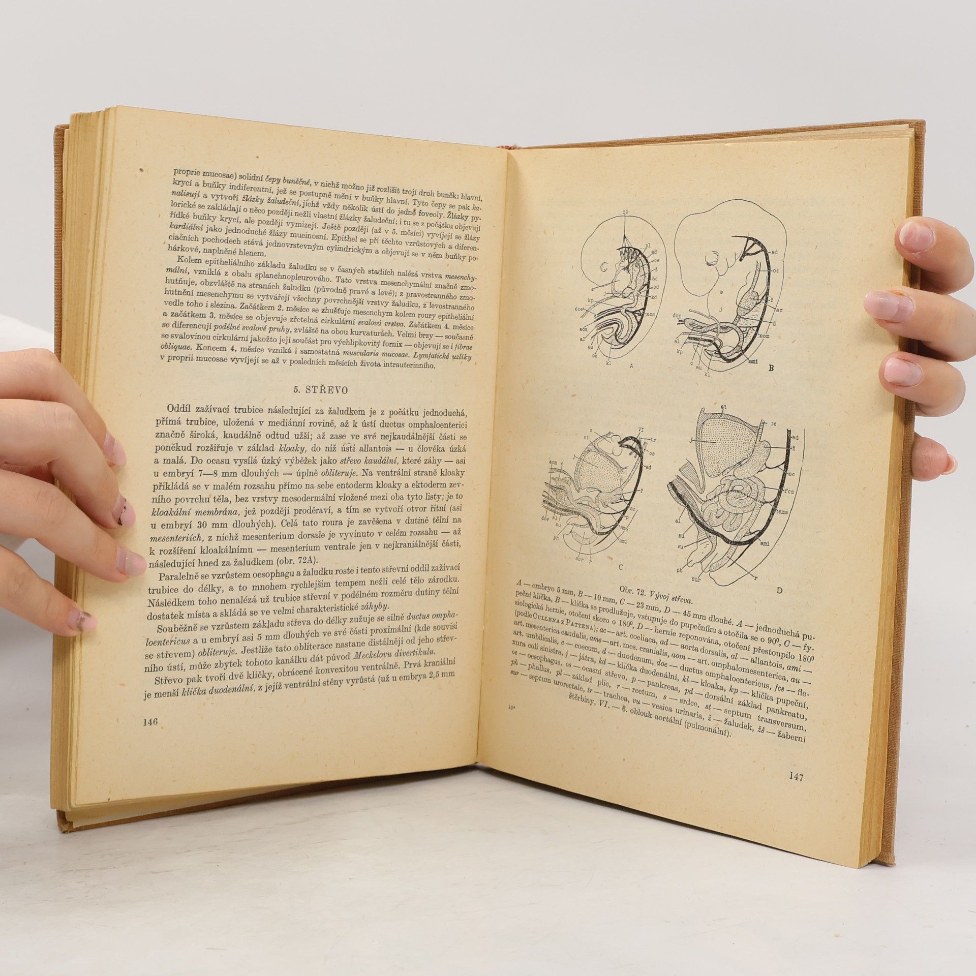 Zdeněk Frankenberger Embryologie