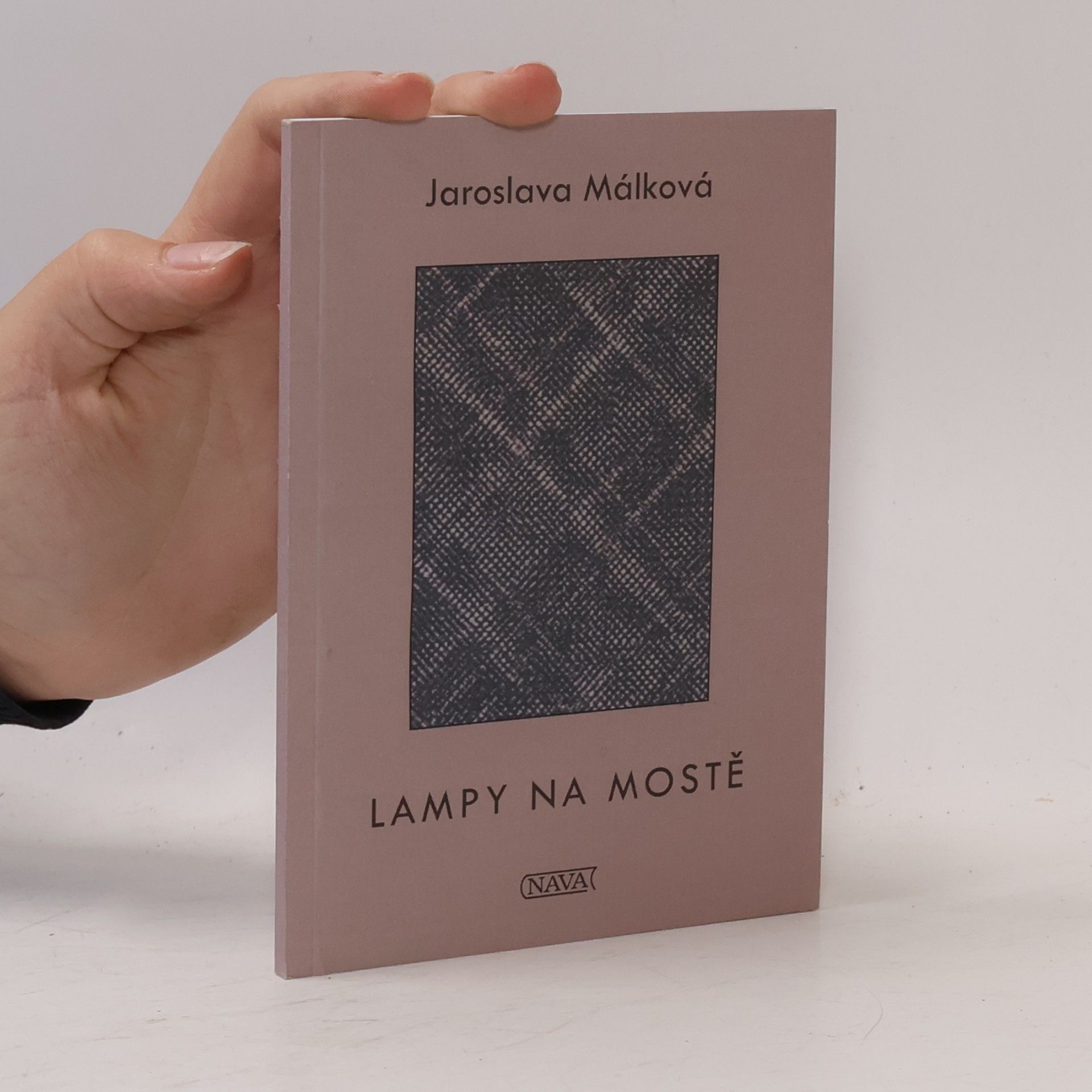 Tereza Šimková Lampy na mostě