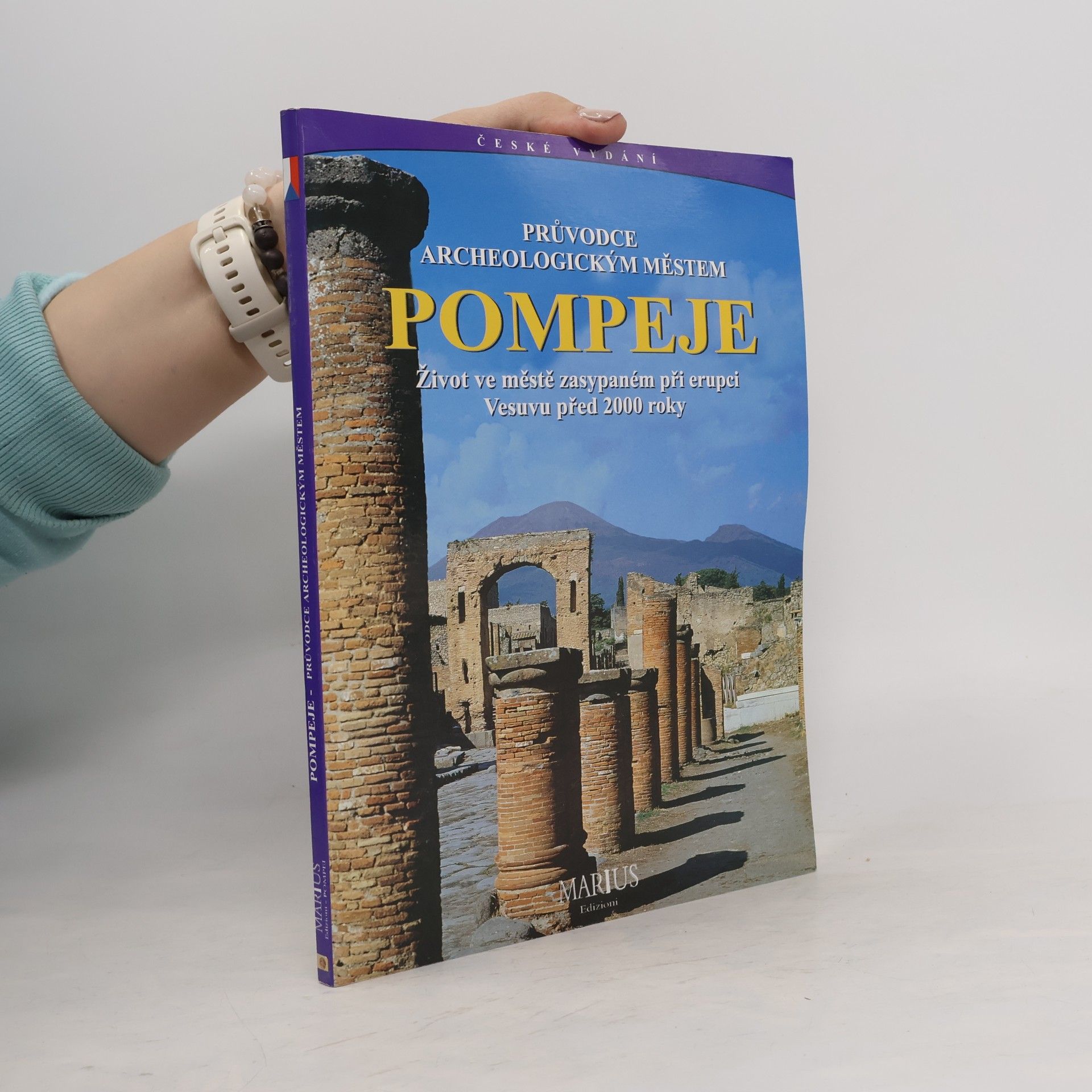 Kolektív autorov Průvodce archeologickým městem Pompeje : Život ve městě zasypaném při erupci Vesuvu před 2000 roky