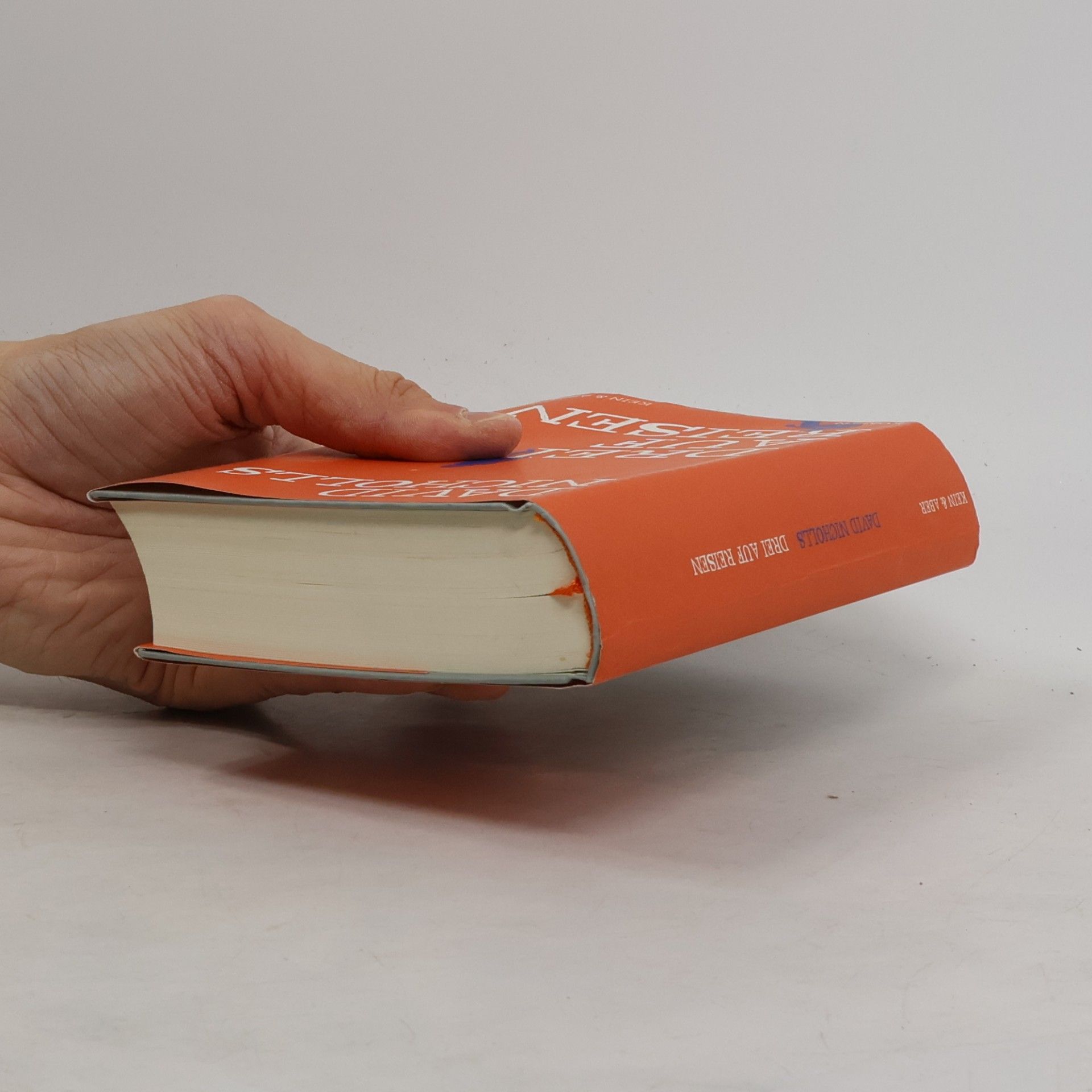 David Nicholls Drei auf Reisen