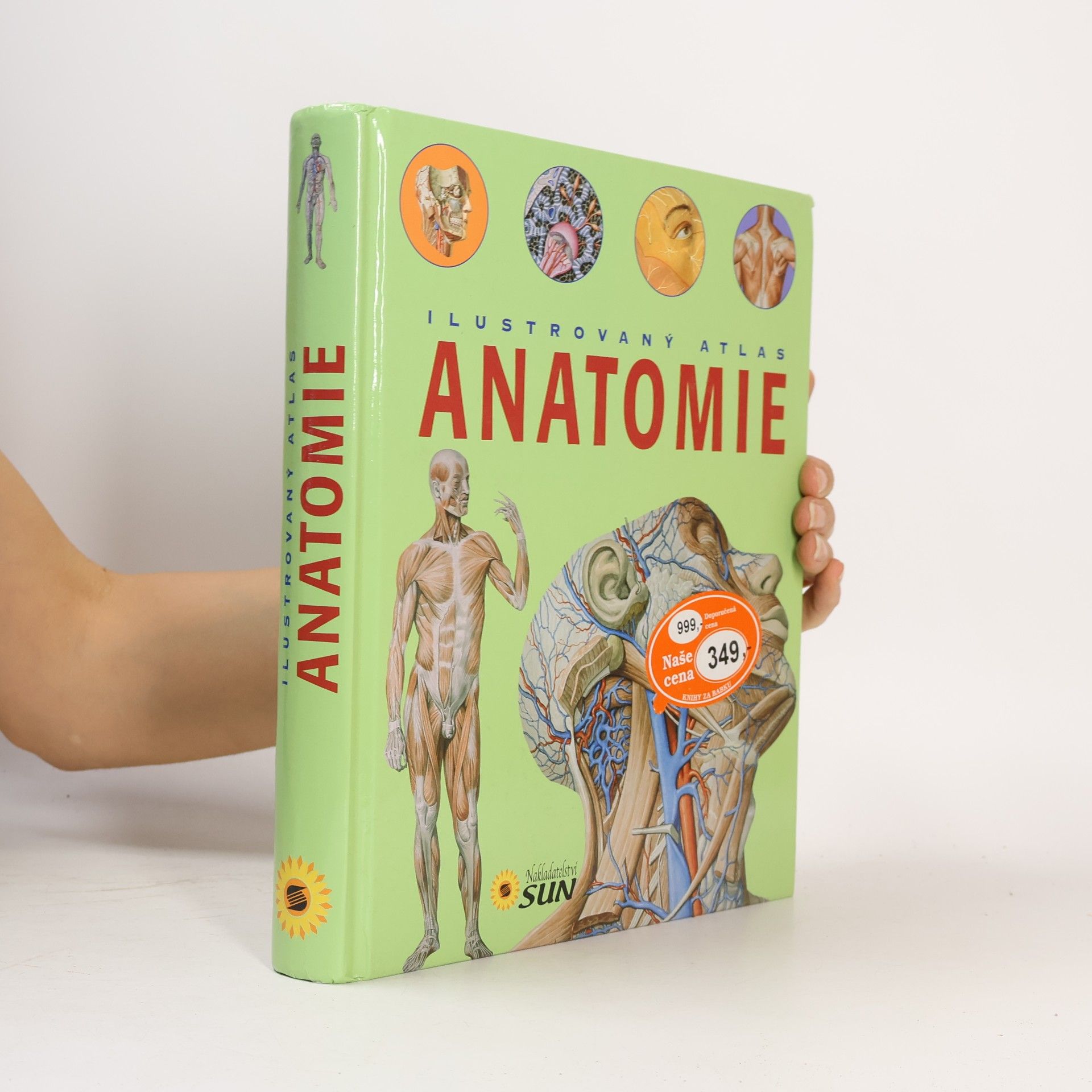 Adriana Rigutti Ilustrovaný atlas anatomie