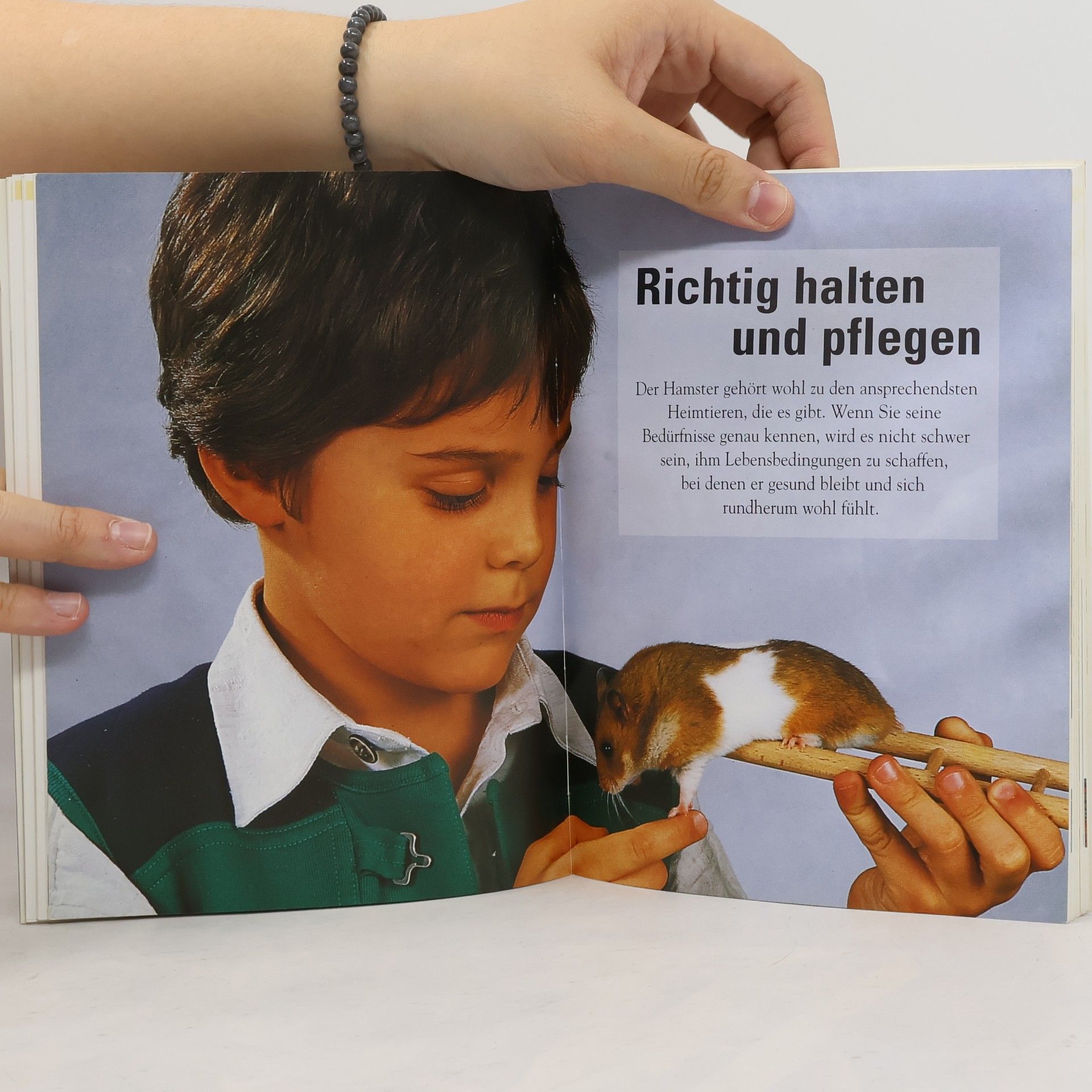 Peter Hollmann Der Hamster