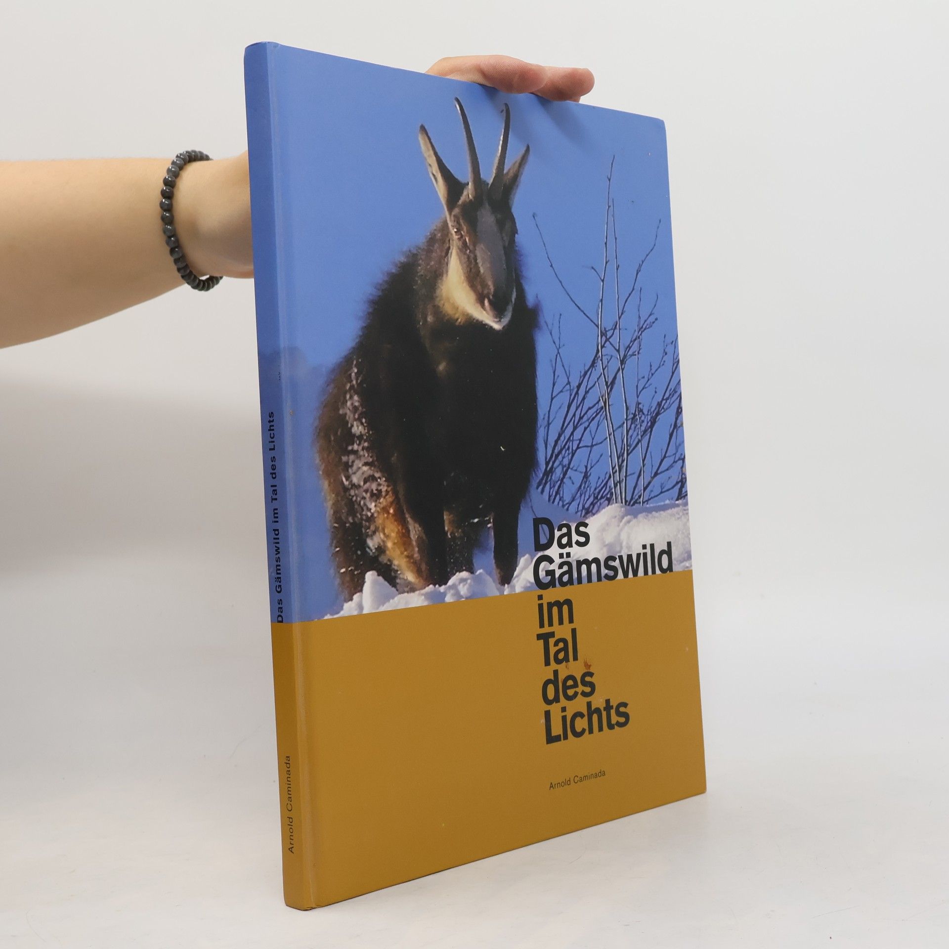 Arnold Caminada Das Gämswild im Tal des Lichts