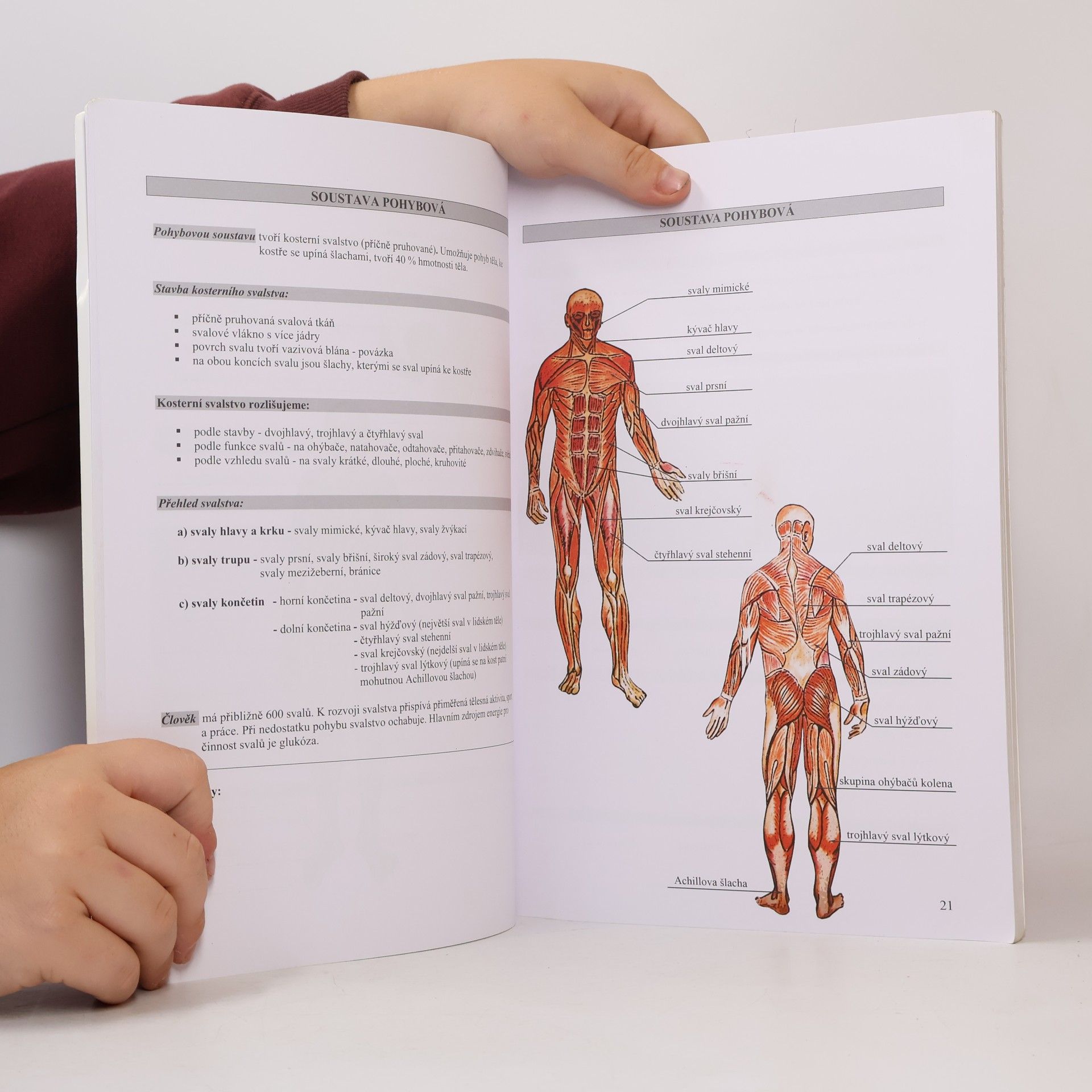 Silva Machková Základní poznatky z biologie člověka : učební sešit, písemné testy, doplňovačky s tajenkou
