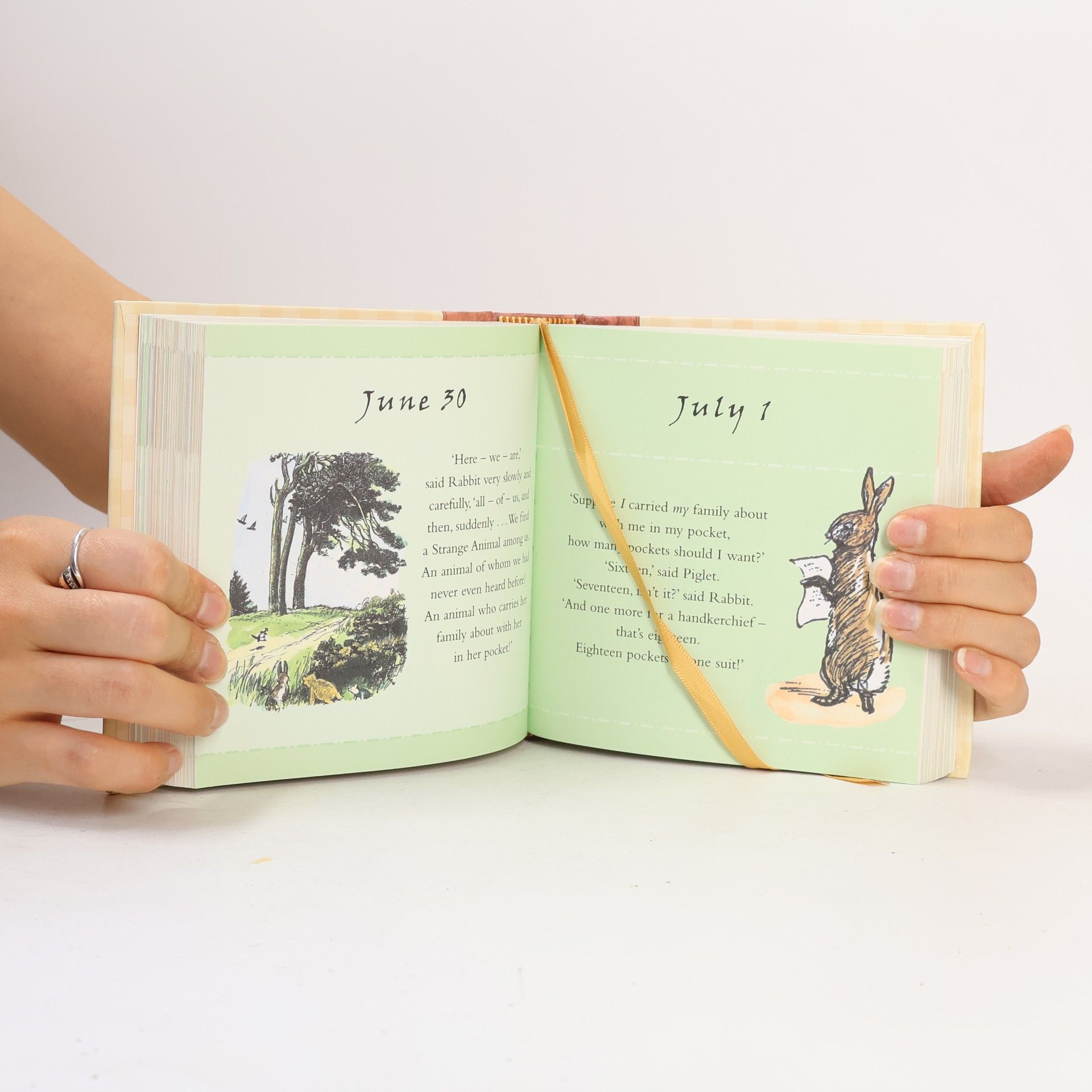 Alan Alexander Milne 365 Days with Winnie-the-Pooh Gift Book