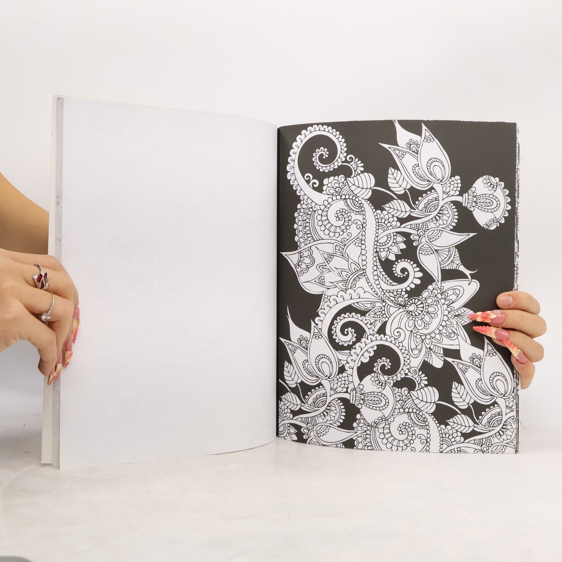 Lindsey Boylan Malen und entspannen: Magisches Mehndi