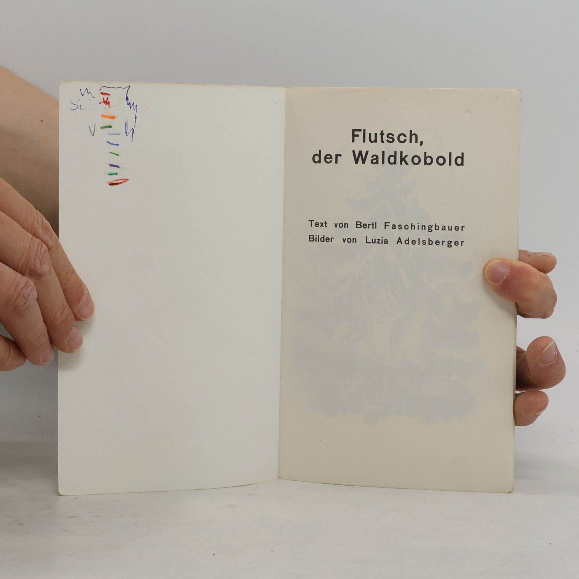Autorenkollektiv Flutsch, der Waldkobold