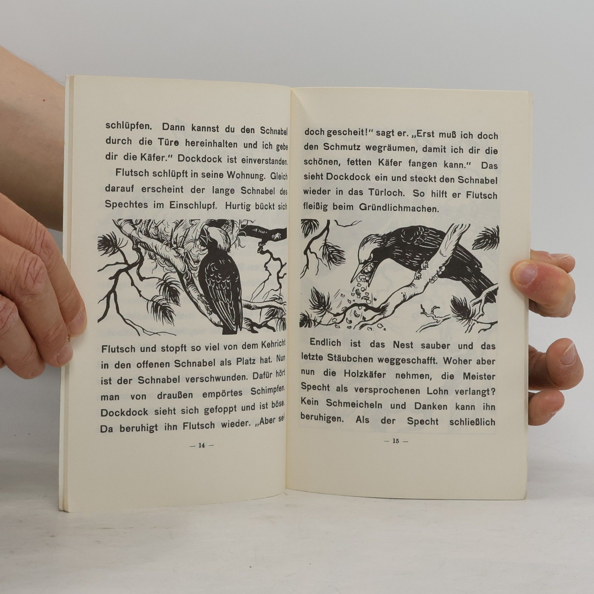 Autorenkollektiv Flutsch, der Waldkobold