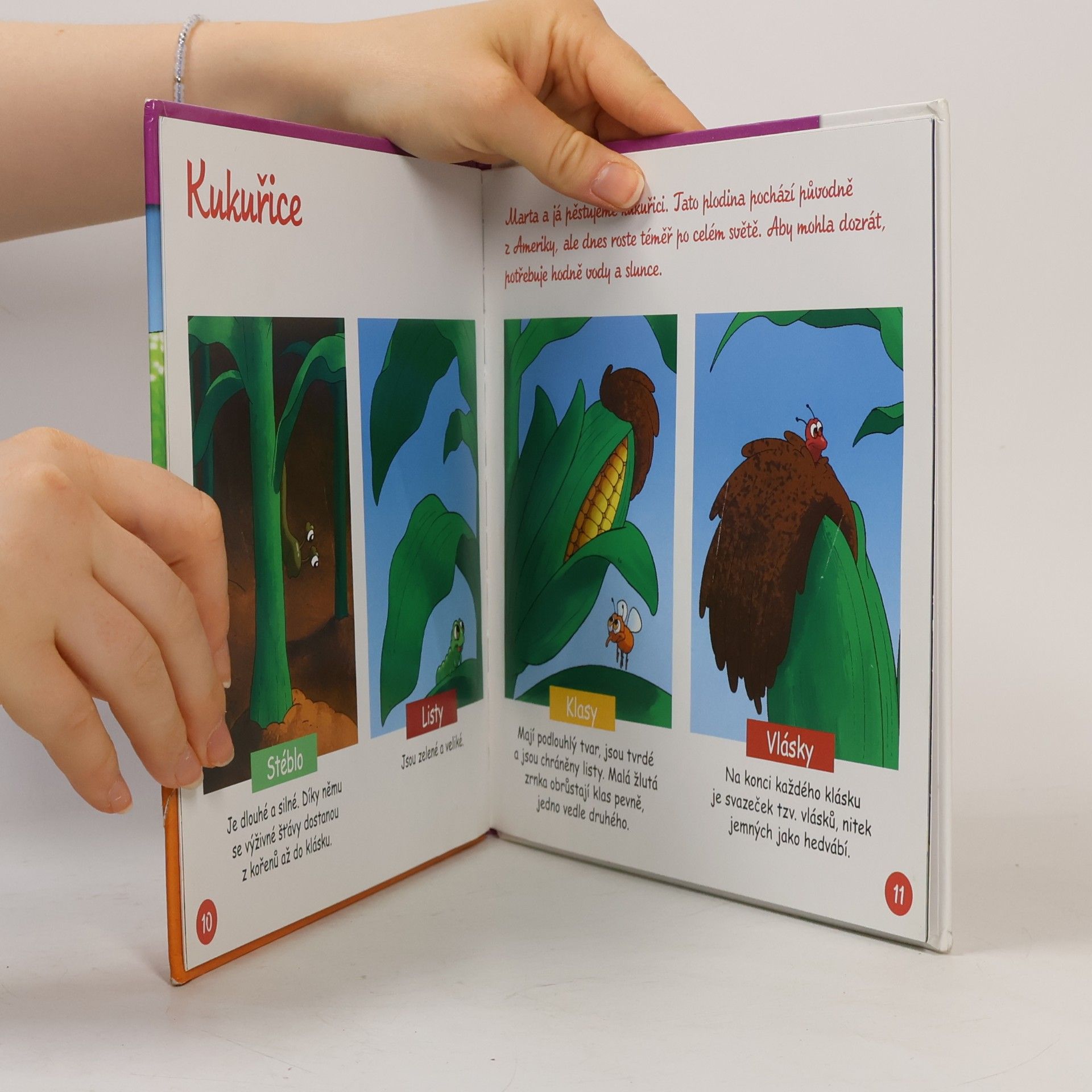 Collectif d'auteurs Výrobky z venkova 25. Pěstování obilí