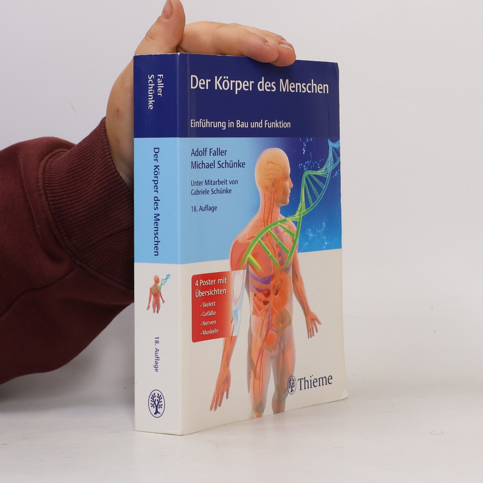 Adolf Faller Der Körper des Menschen