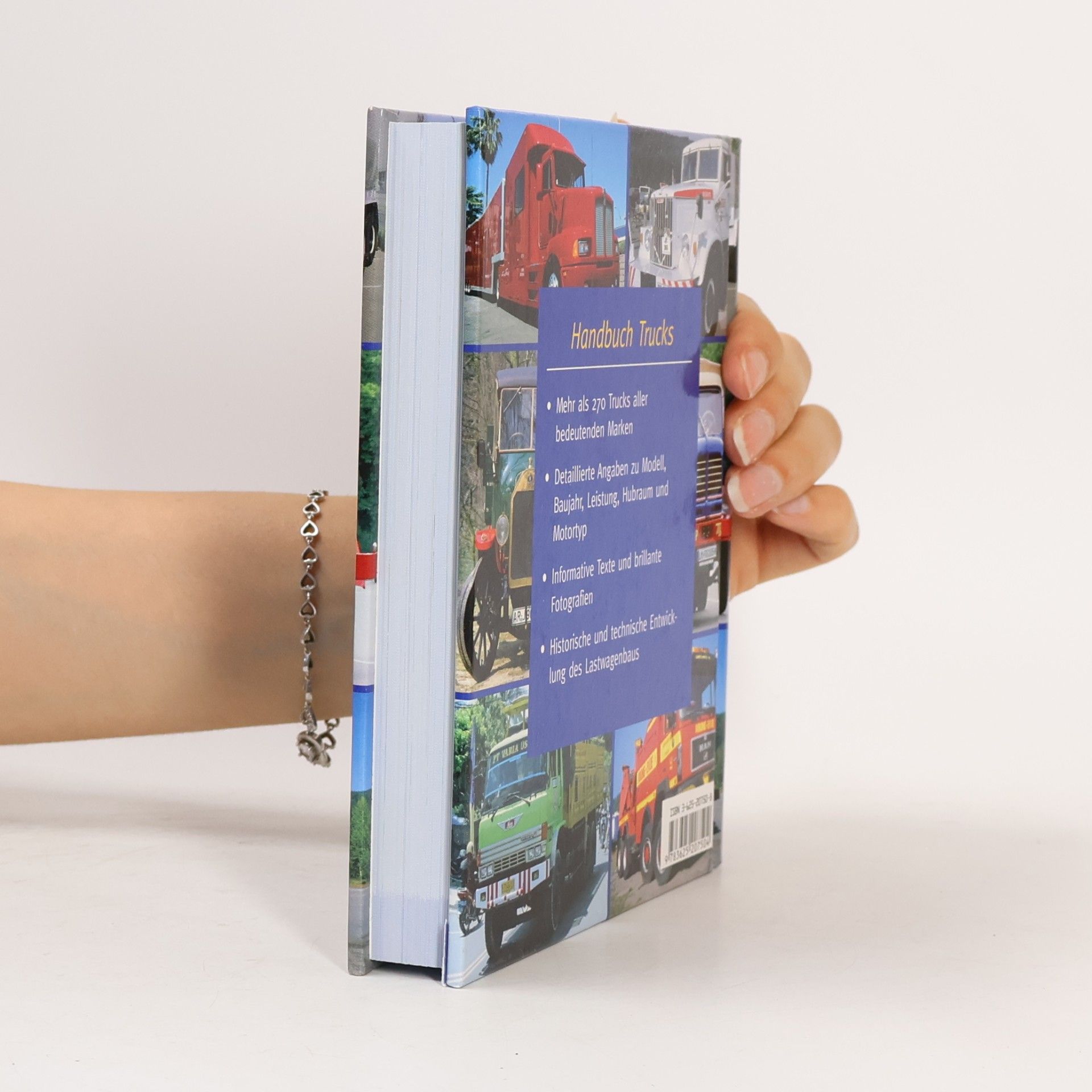 Kolektiv autorů Handbuch Trucks