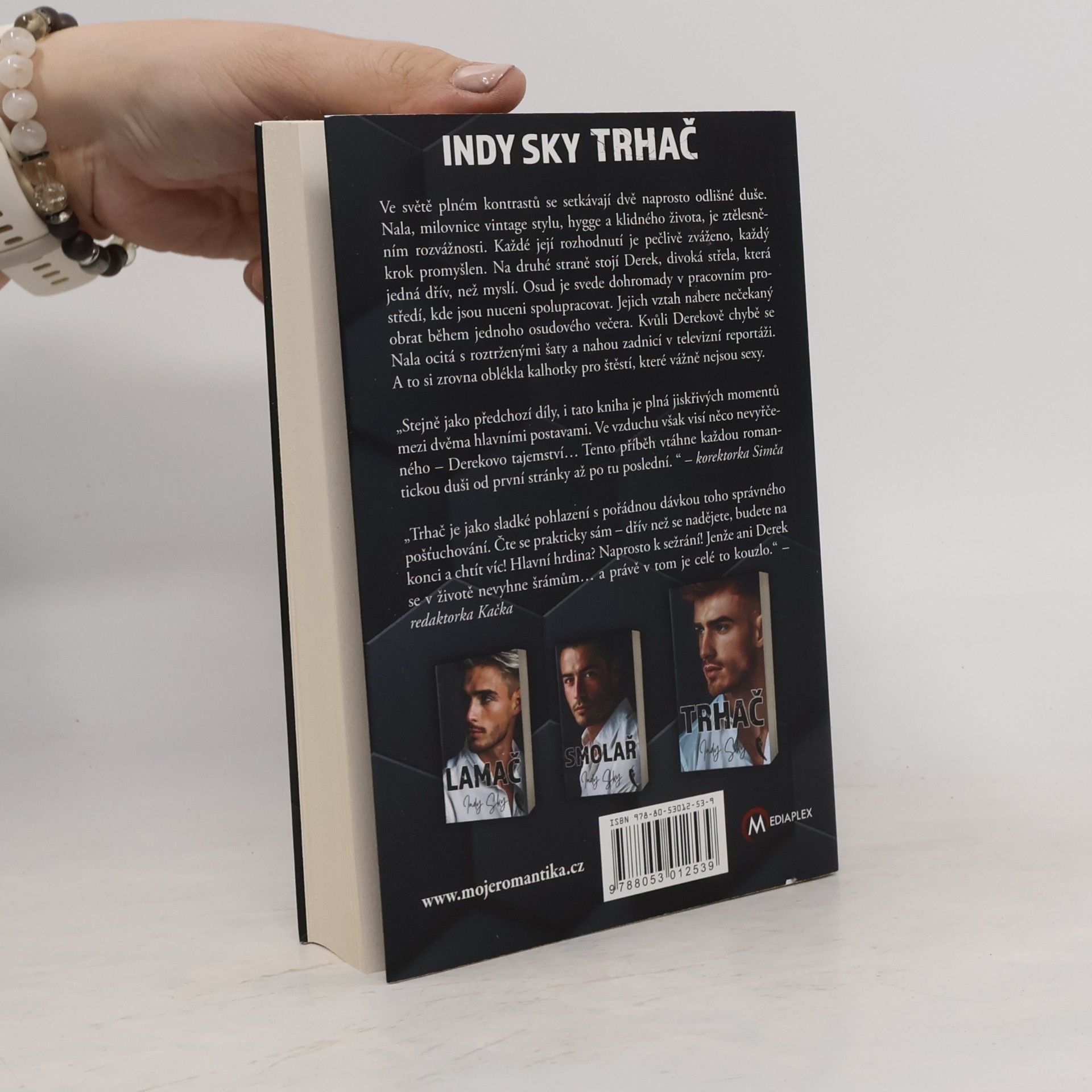 Judy Sky Zlomení - 3: Trhač