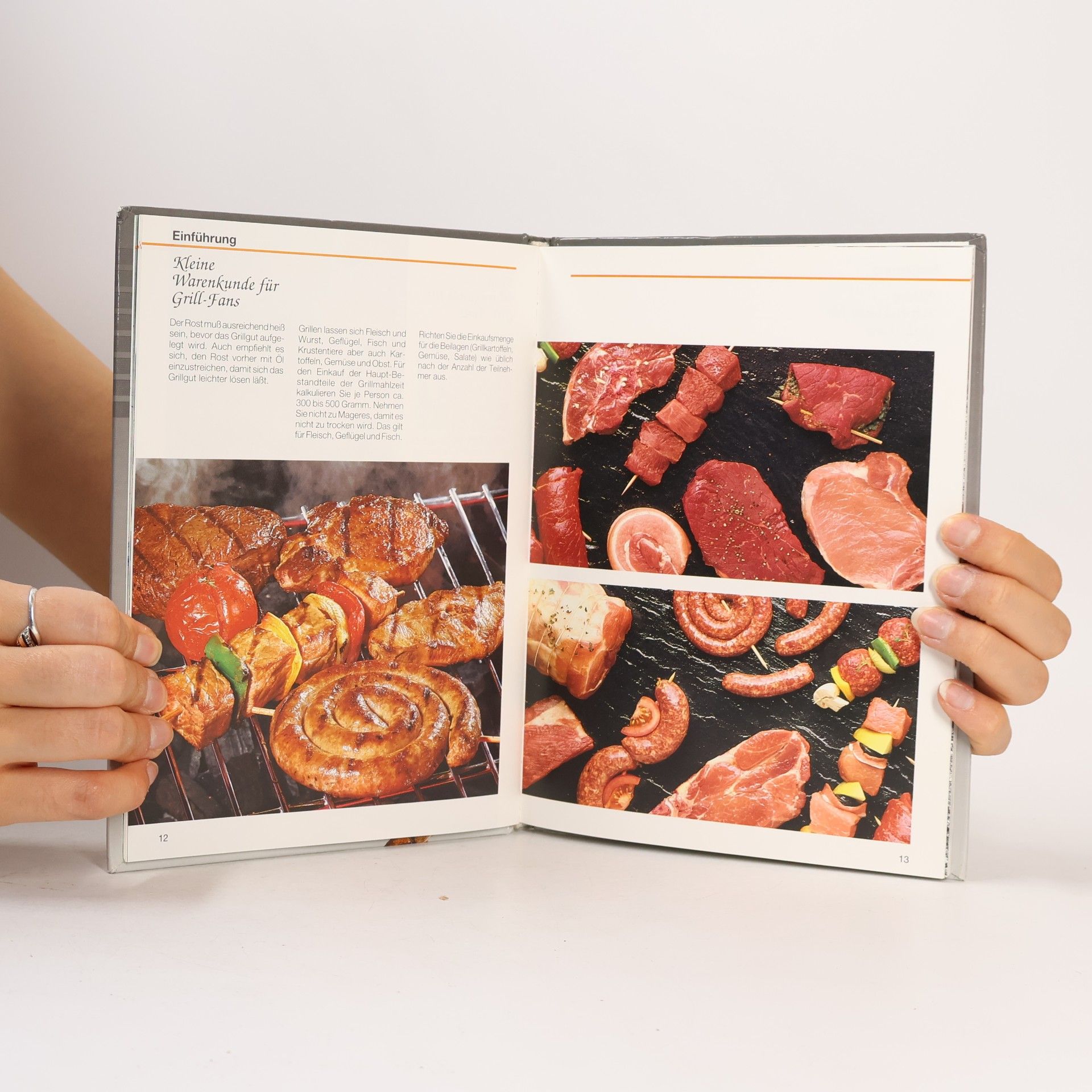 Auteurscollectief Grillen. Die exzellente Küche