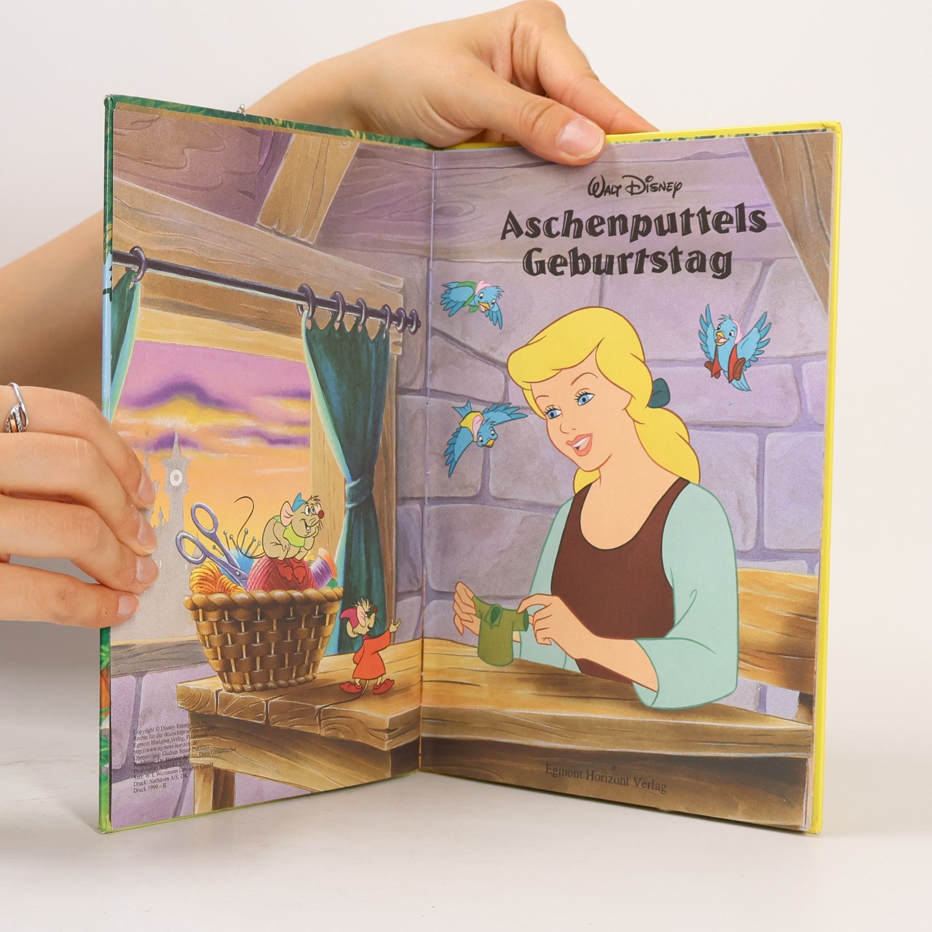 Autorenkollektiv Aschenputtels Geburtstag
