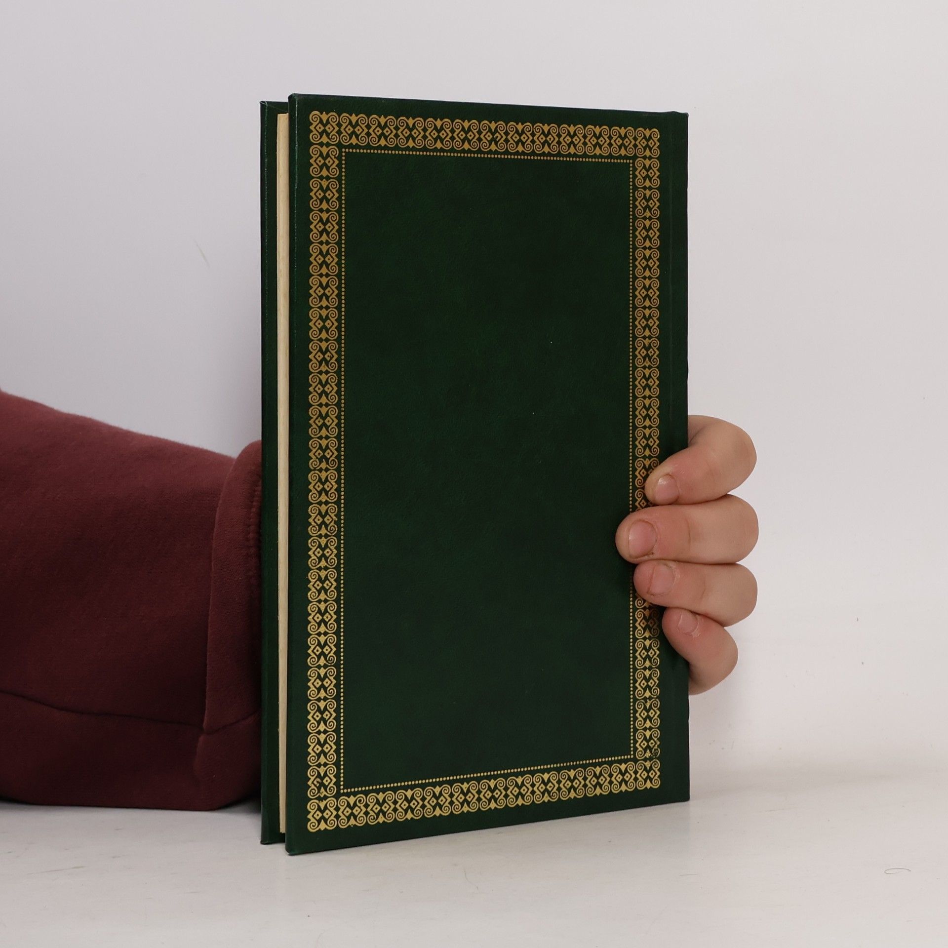Gabriel García Márquez Generál v labyrinte