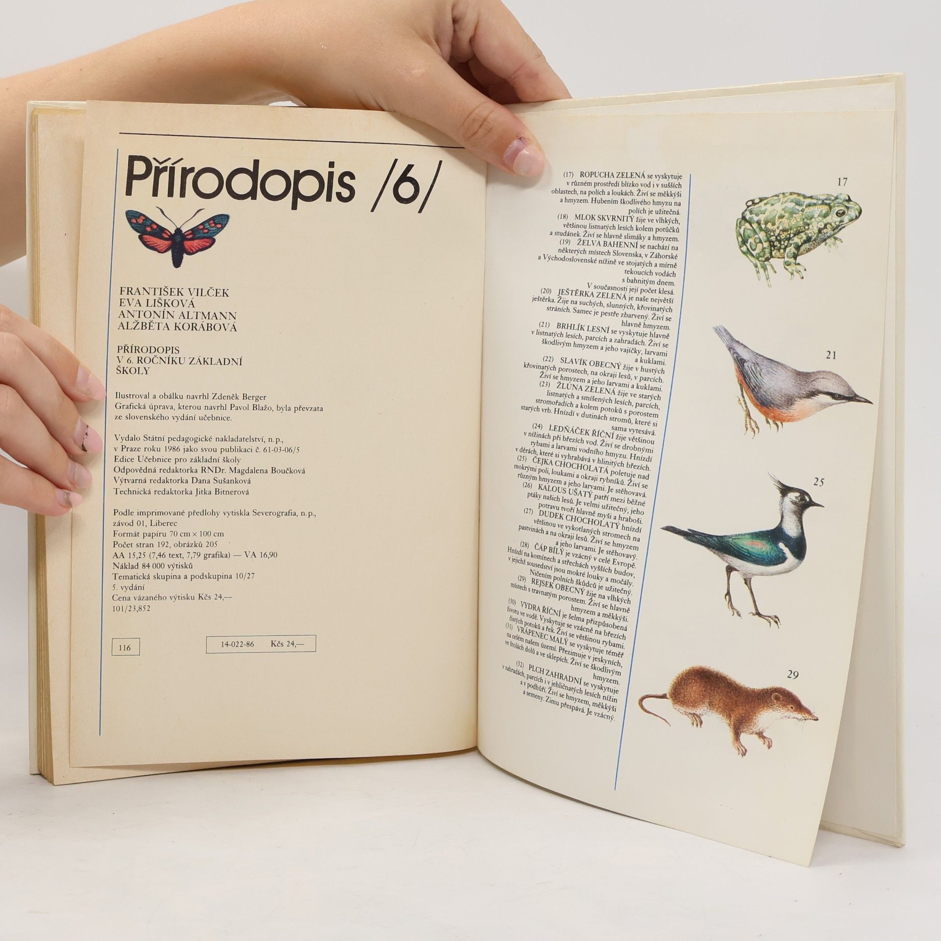 Collectif d'auteurs Přírodopis 6