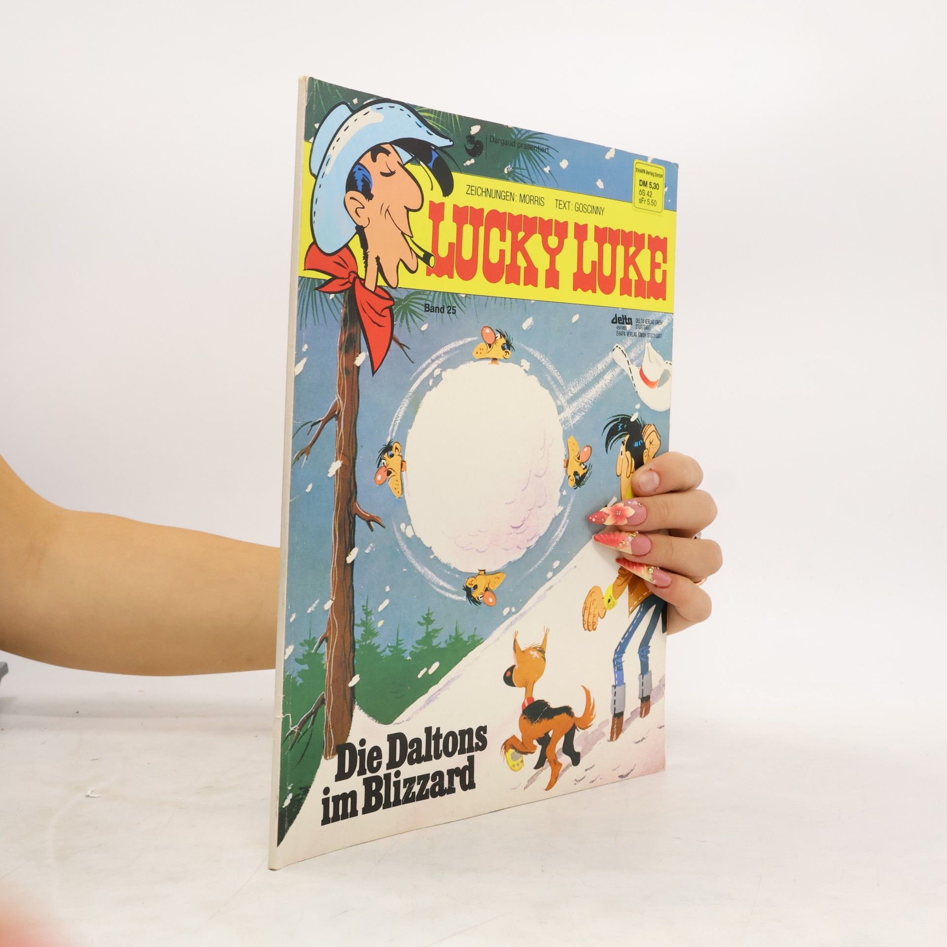 AA.VV. Lucky Luke 25. Die Daltons im Blizzard