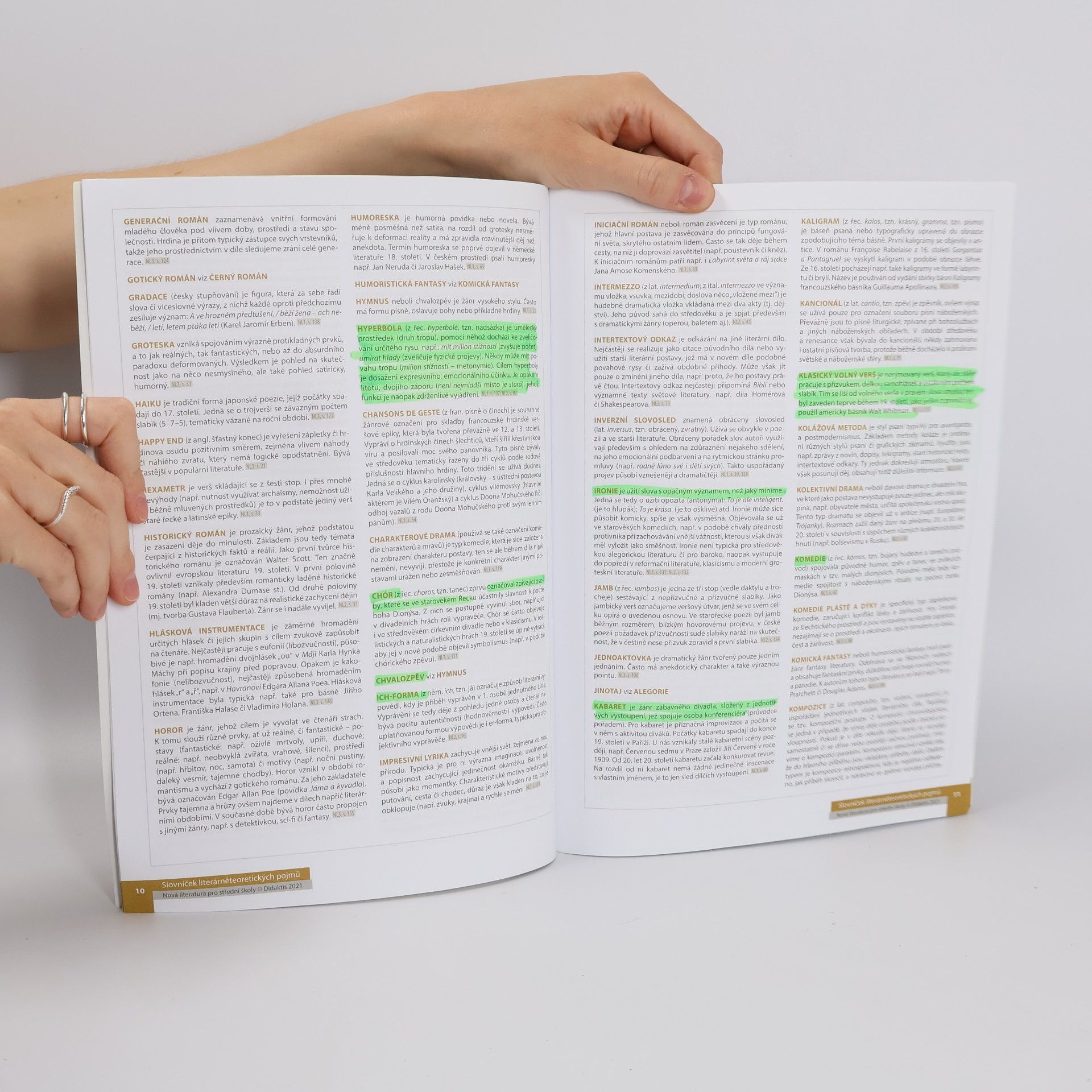 Lukáš Borovička Nová literatura pro střední školy. Přehled literárních pojmů a směrů