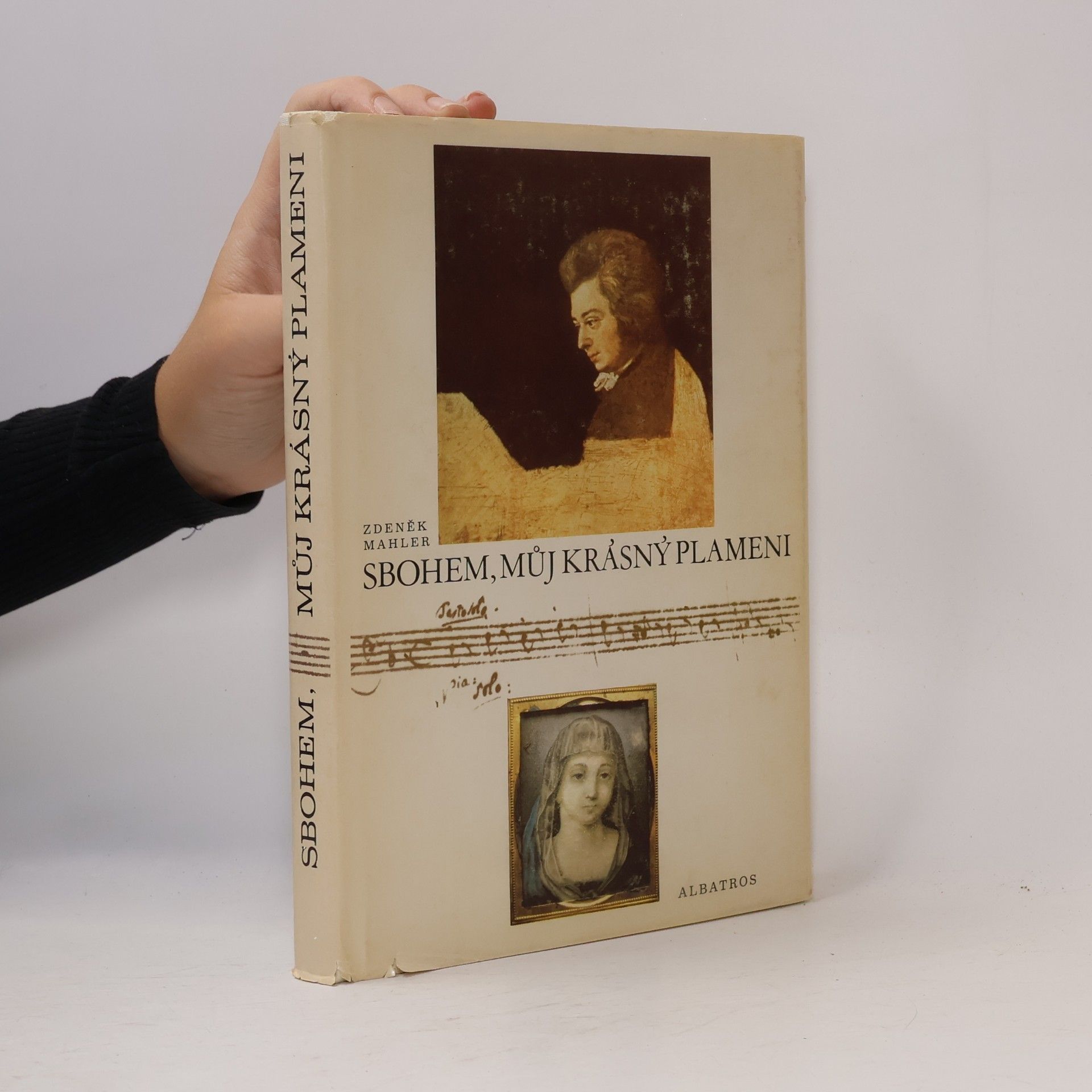 Zdeněk Mahler Sbohem, můj krásný plameni