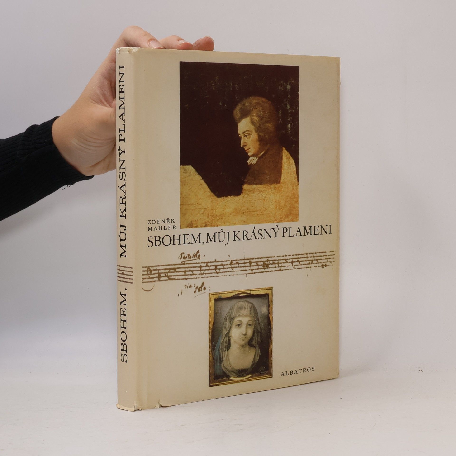 Zdeněk Mahler Sbohem, můj krásný plameni