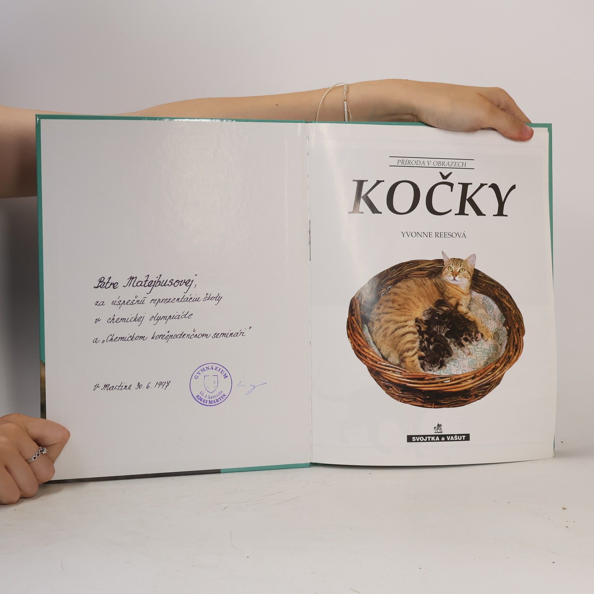 Yvone Rees Kočky
