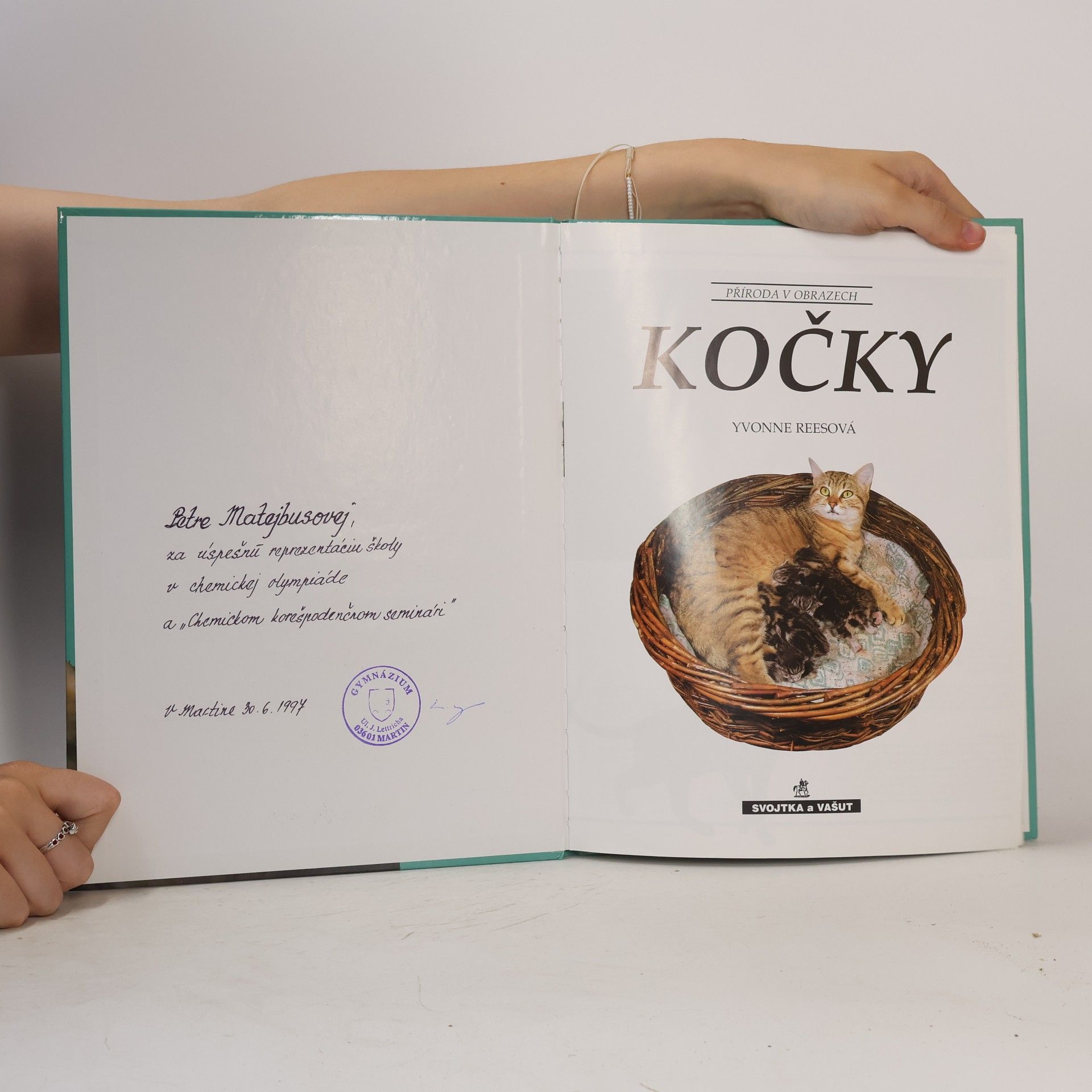 Yvone Rees Kočky