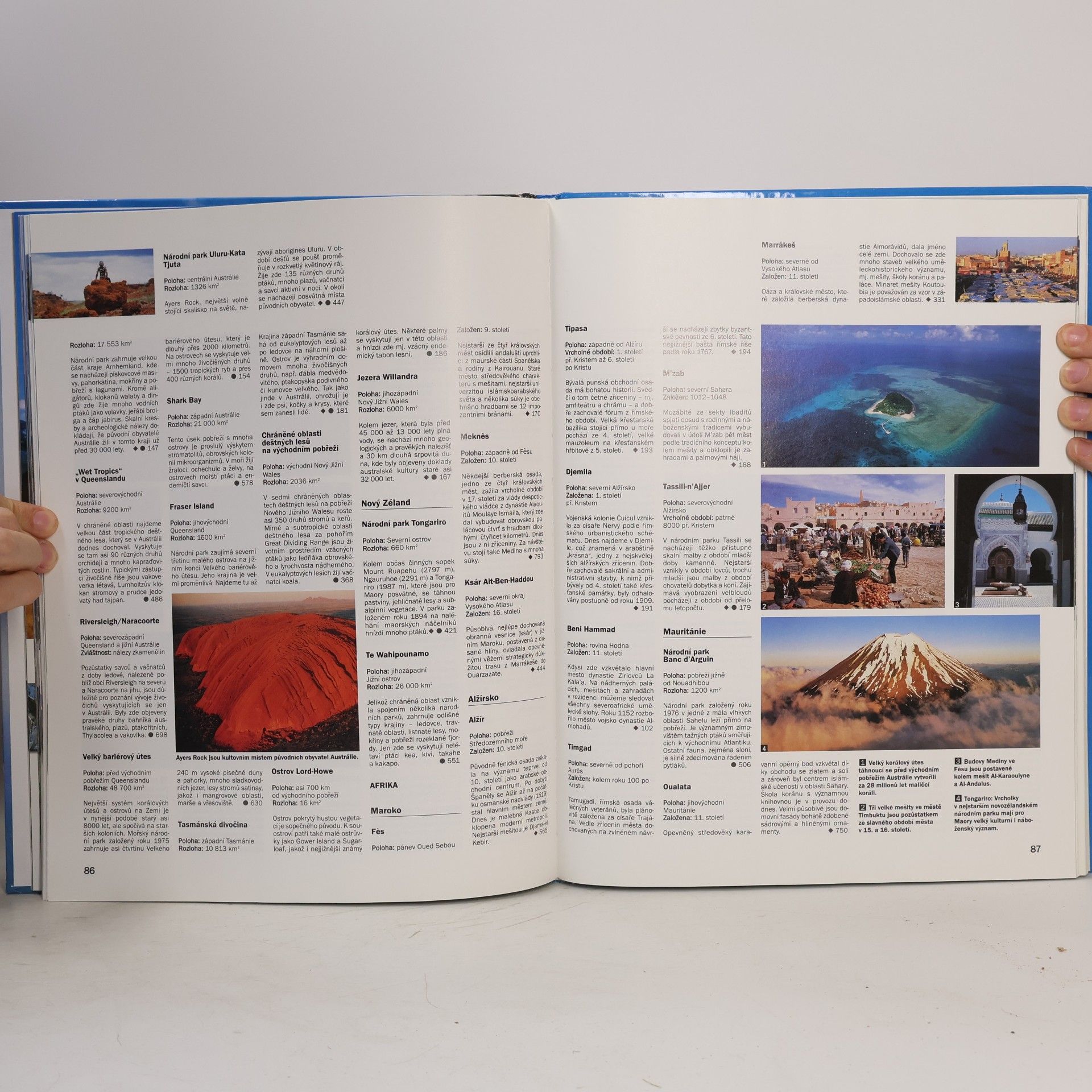 Heike Barnitzke Svět v rekordech : atlas superlativů
