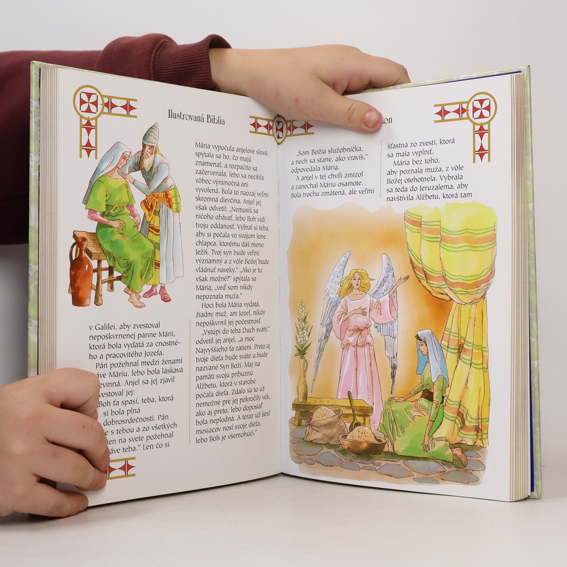 Collectif d'auteurs Ilustrovaná Biblia